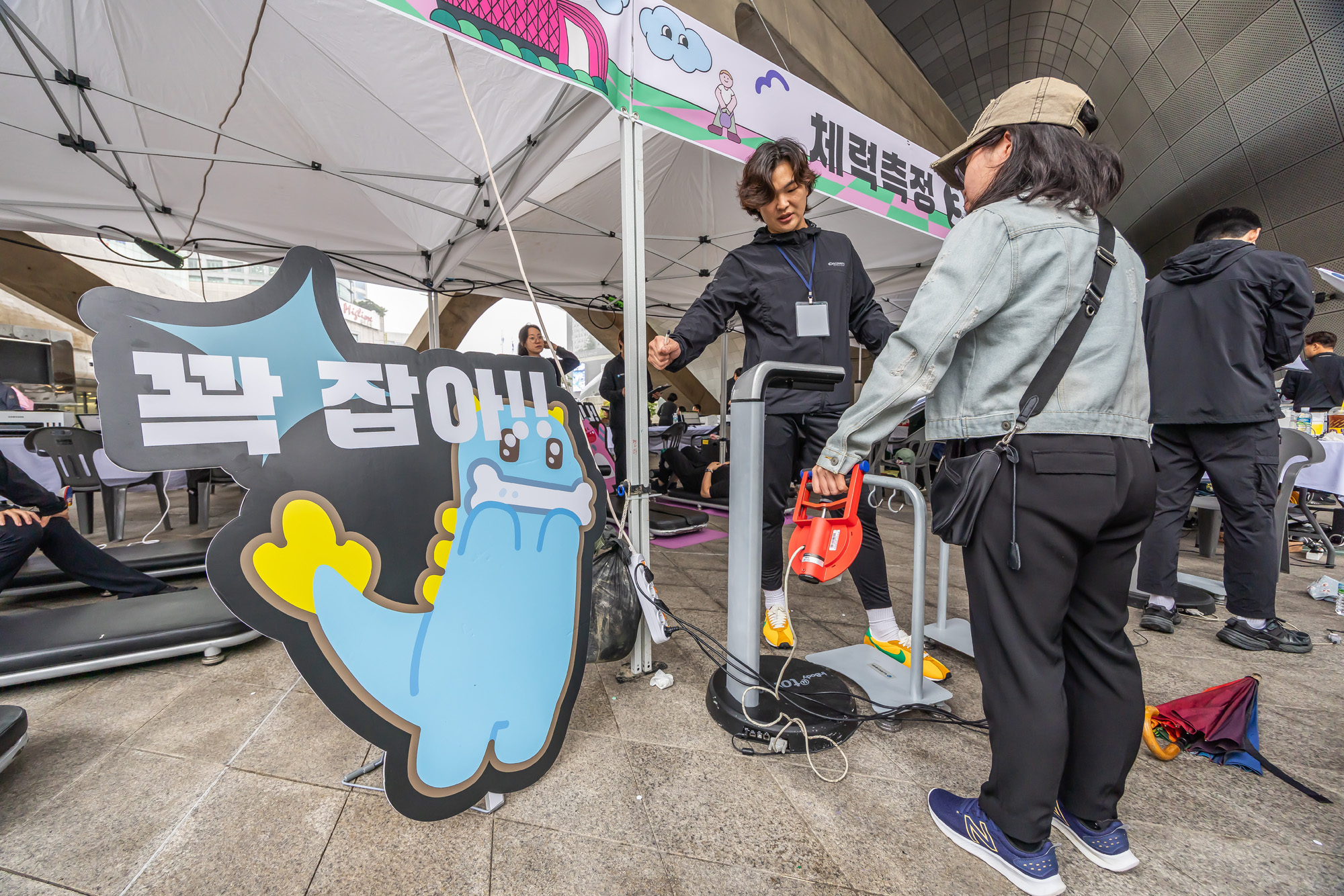 사회;건강;살빼기;서울9988;한가위;한가위확찐살확빼기;체력측정;DDP;동대문디자인플라자;추석살빼기