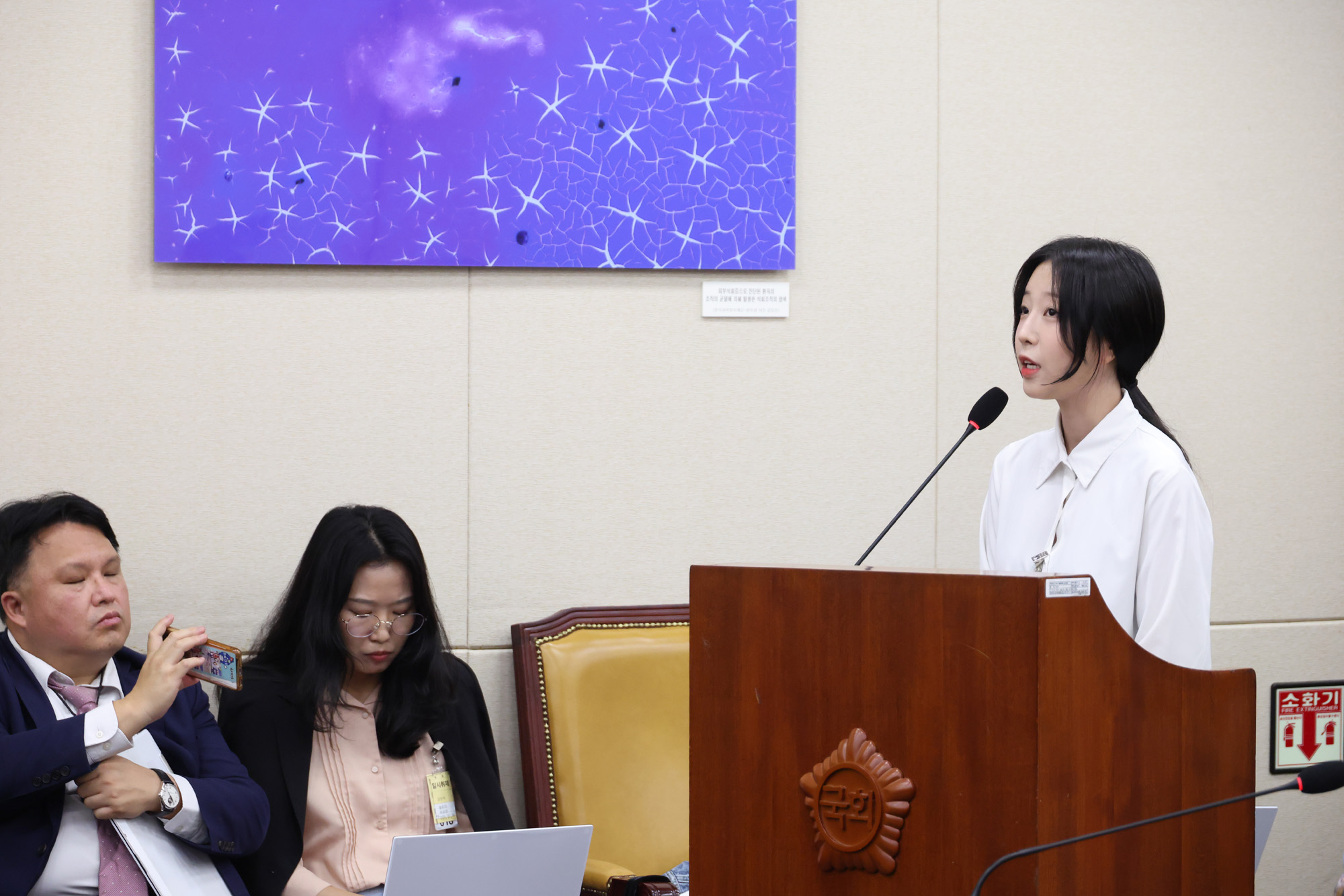정치;국회;국정감사;국감증인;쯔양