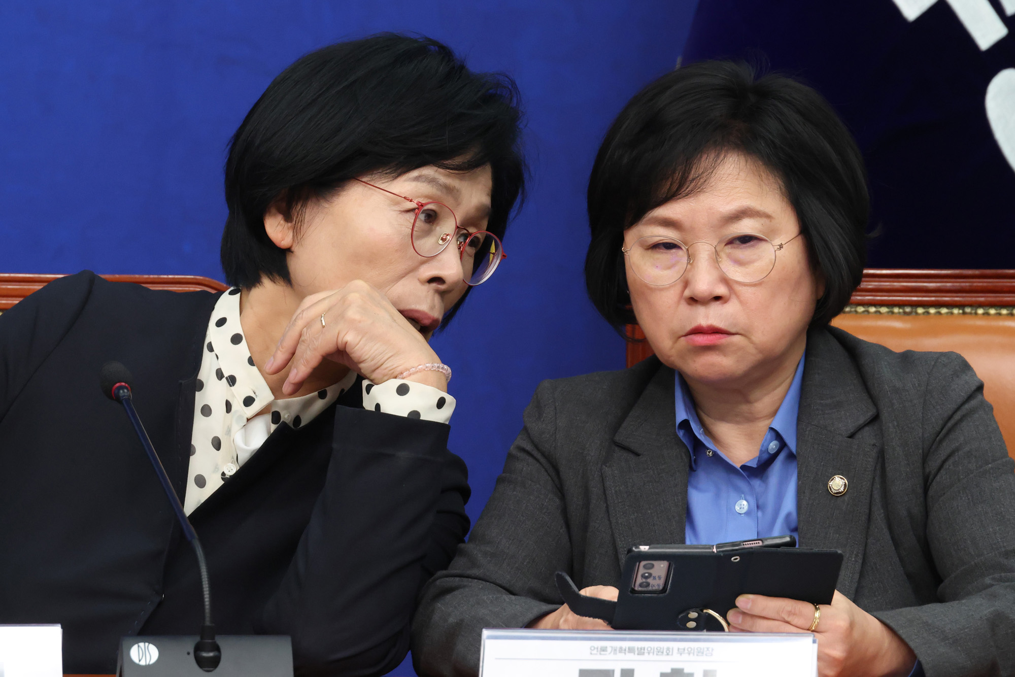 정치;국회;더불어민주당 언론개혁특위;최민희;김현