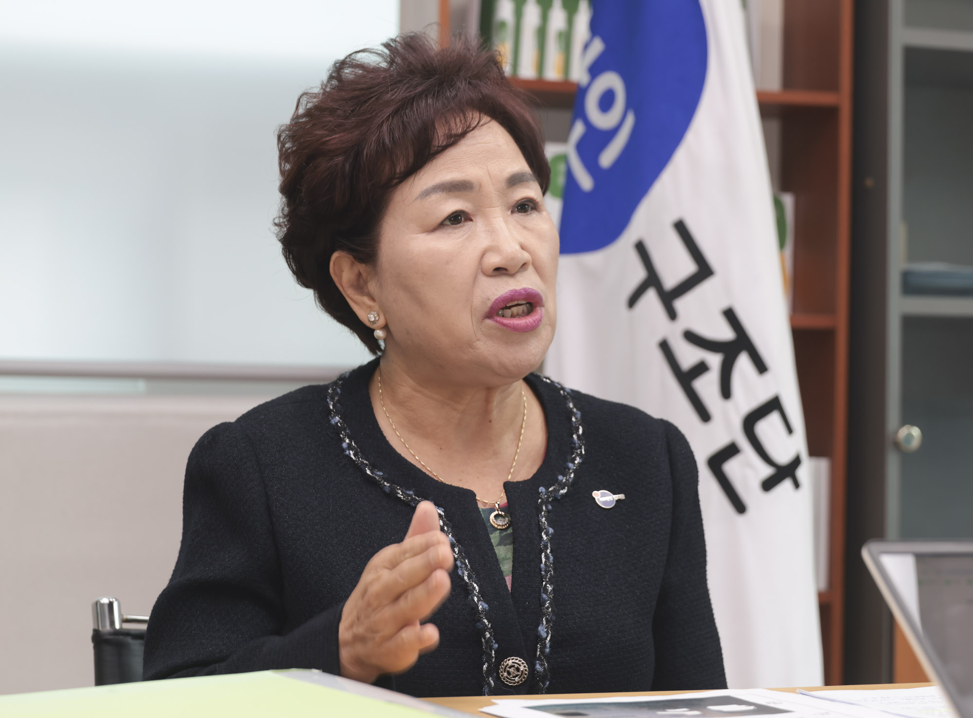 이정숙;이정숙한인구조단;캄보디아구조활동