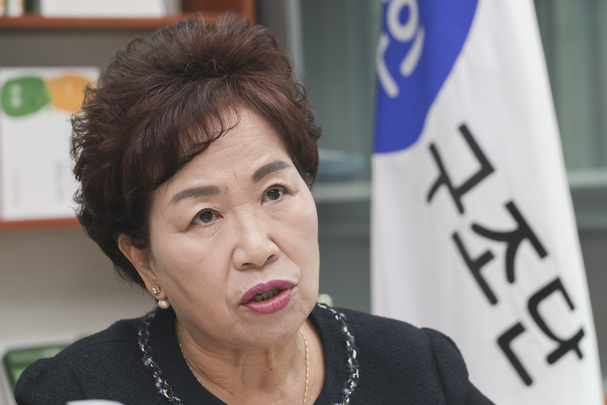 이정숙;이정숙한인구조단;캄보디아구조활동