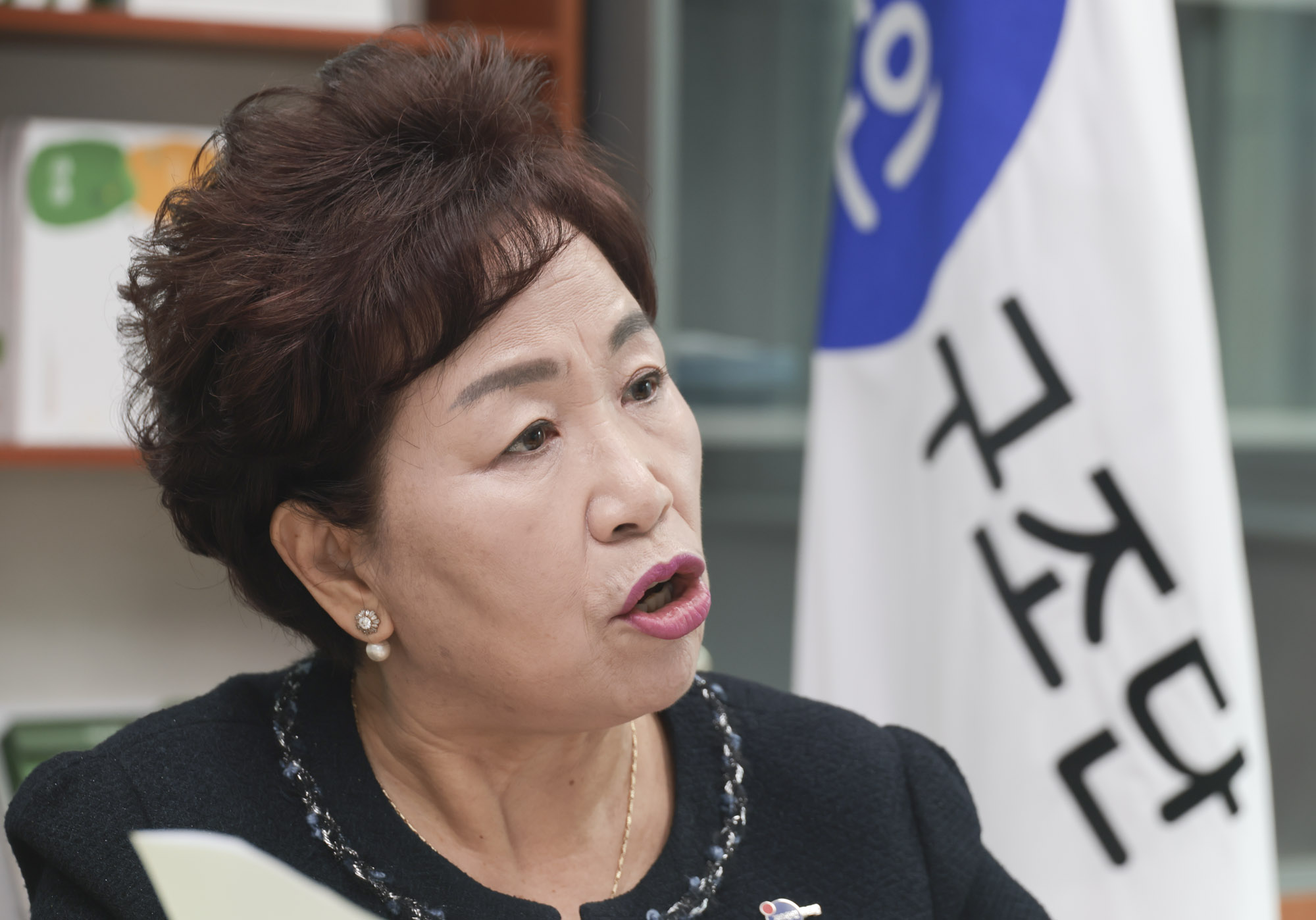 이정숙;이정숙한인구조단;캄보디아구조활동