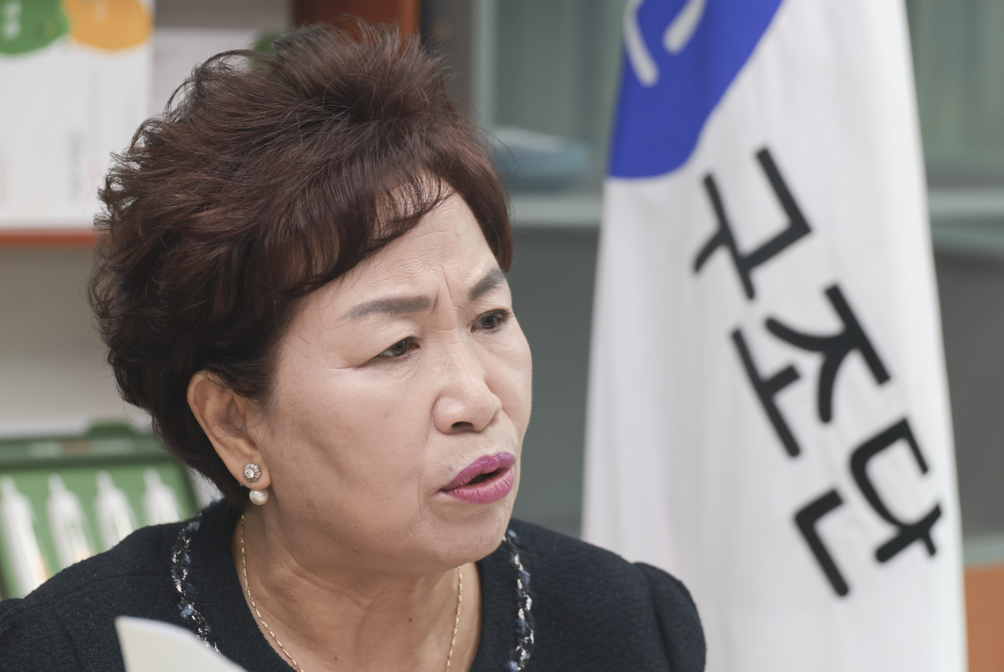 이정숙;이정숙한인구조단;캄보디아구조활동