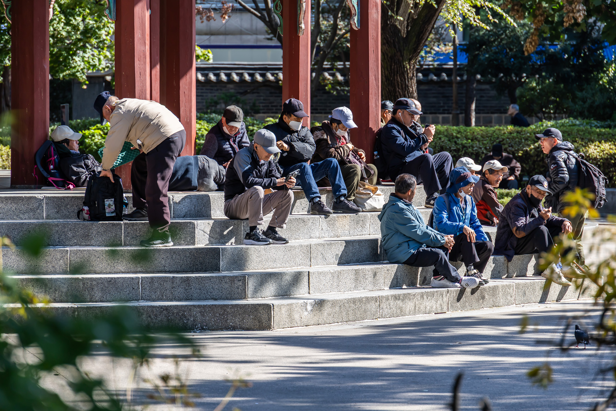 사회;세태;노인문제;탑골공원;탑골공원노인들;노인정책문제;탑골공원논란;고령화사회;1000만노인시대