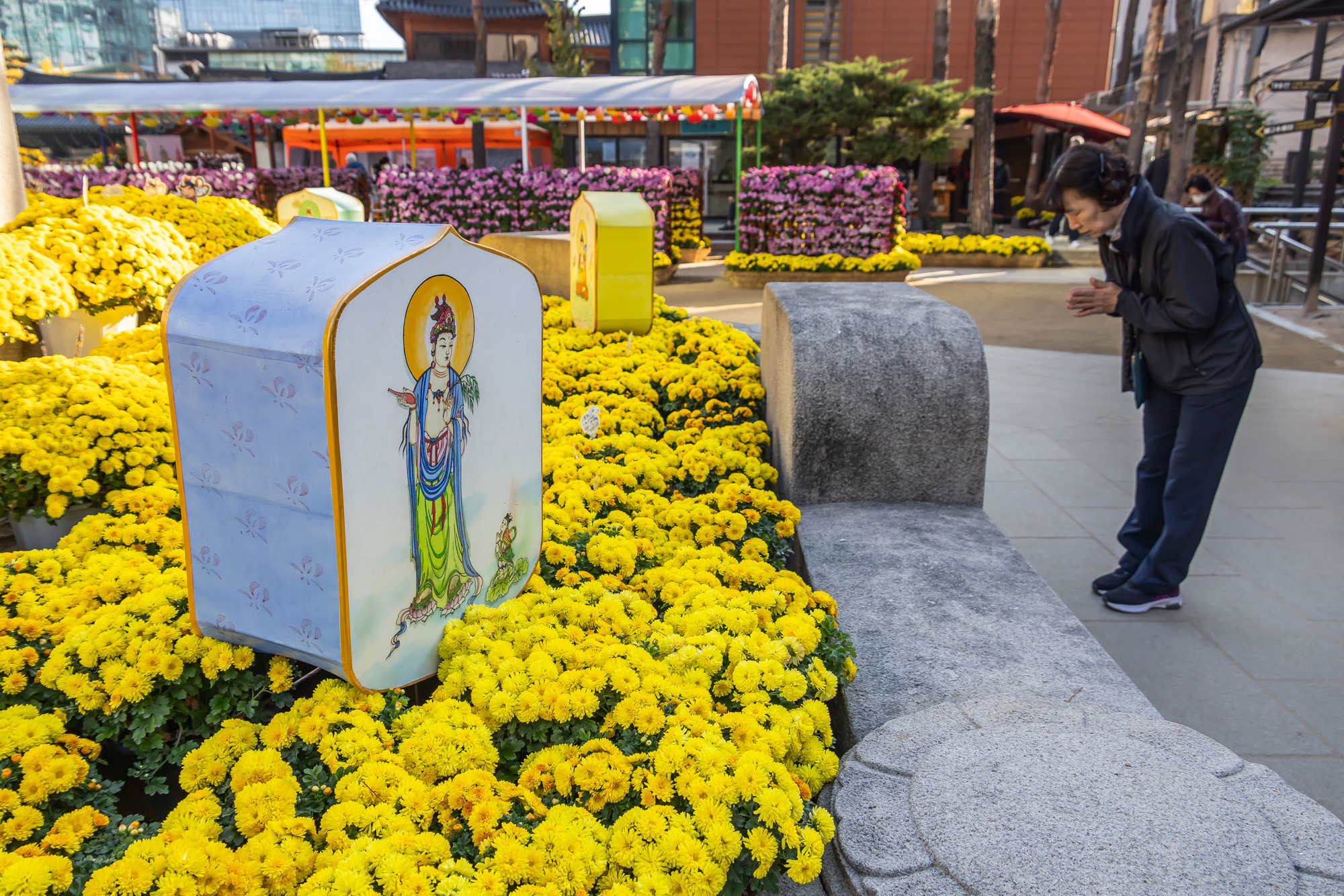 사회;세태;교육;대입;수능합격기원;조계사수능합격기원;수능기도;2026학년도대학수학능력시험기도