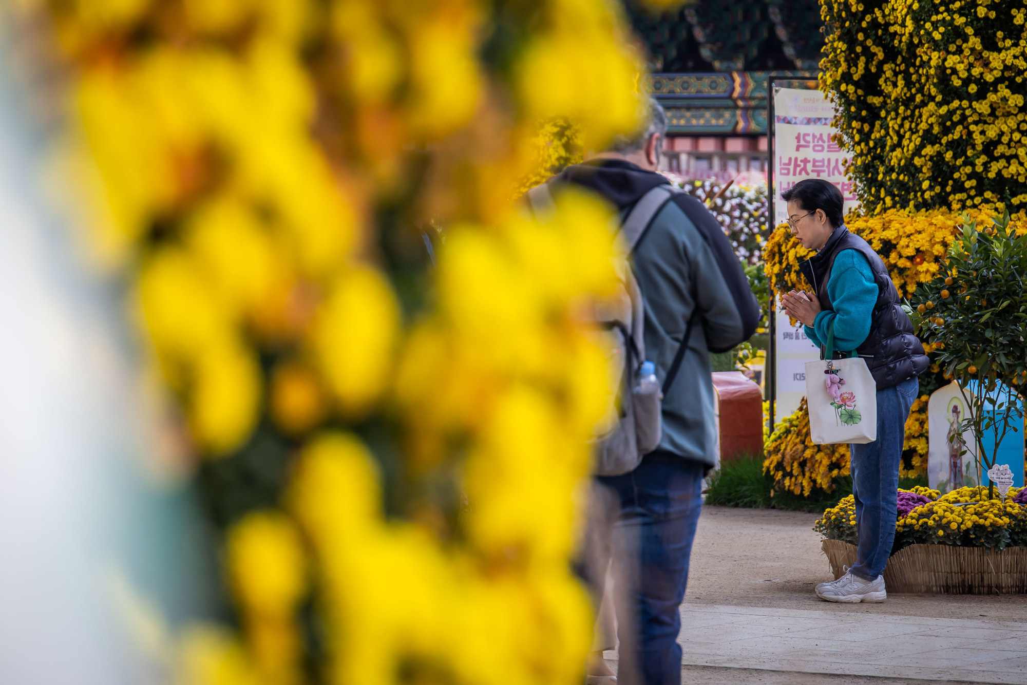 사회;세태;교육;대입;수능합격기원;조계사수능합격기원;수능기도;2026학년도대학수학능력시험기도
