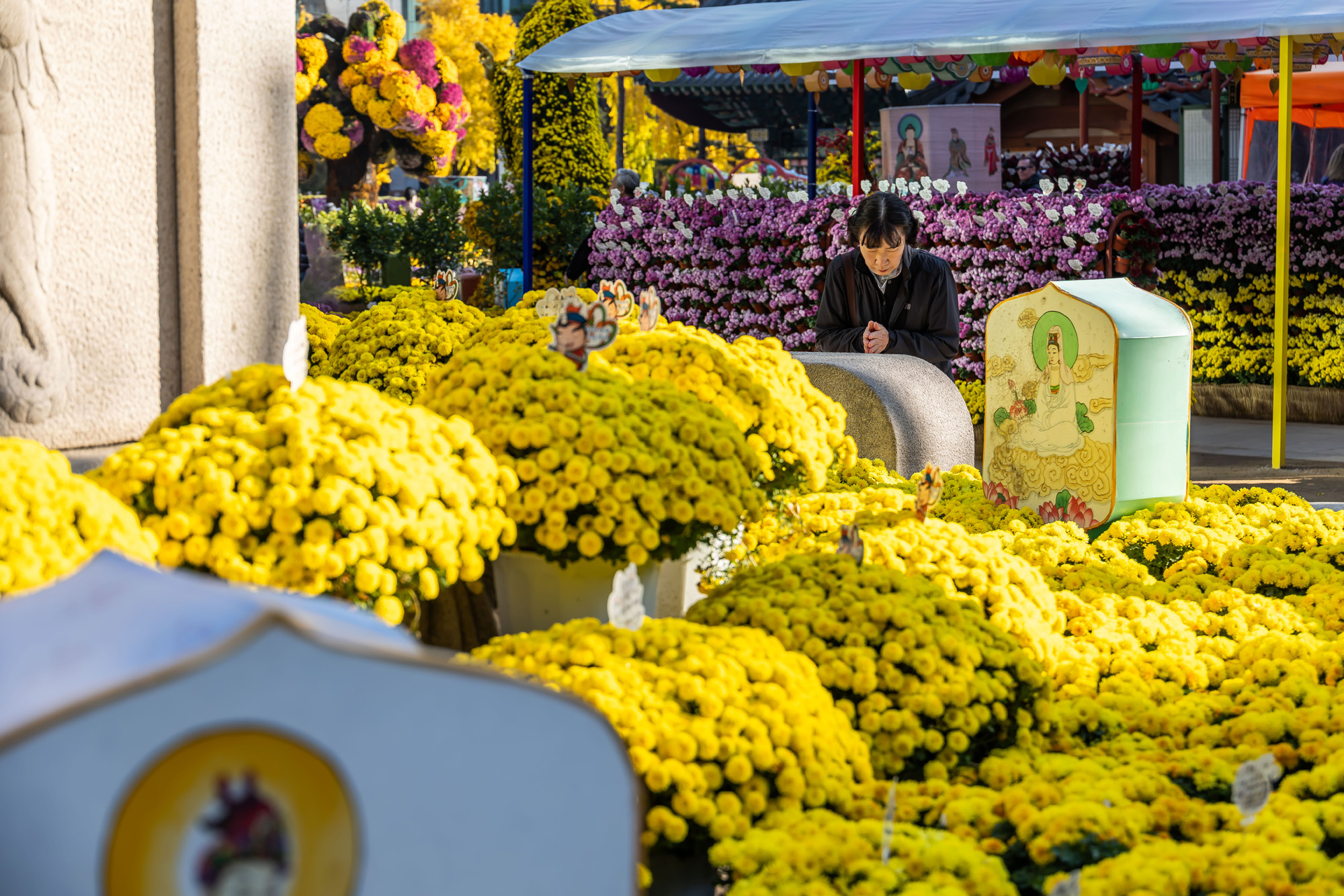 사회;세태;교육;대입;수능합격기원;조계사수능합격기원;수능기도;2026학년도대학수학능력시험기도