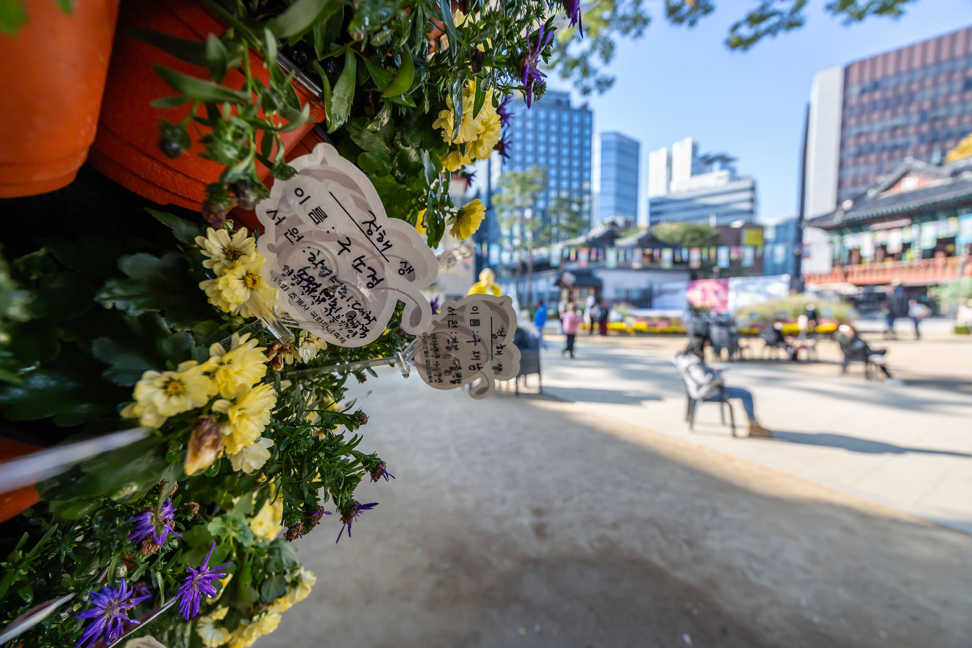 사회;세태;교육;대입;수능합격기원;조계사수능합격기원;수능기도;2026학년도대학수학능력시험기도