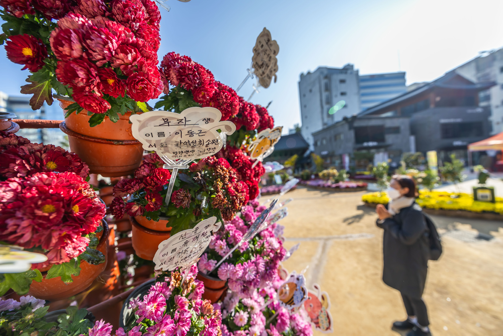 사회;세태;교육;대입;수능합격기원;조계사수능합격기원;수능기도;2026학년도대학수학능력시험기도
