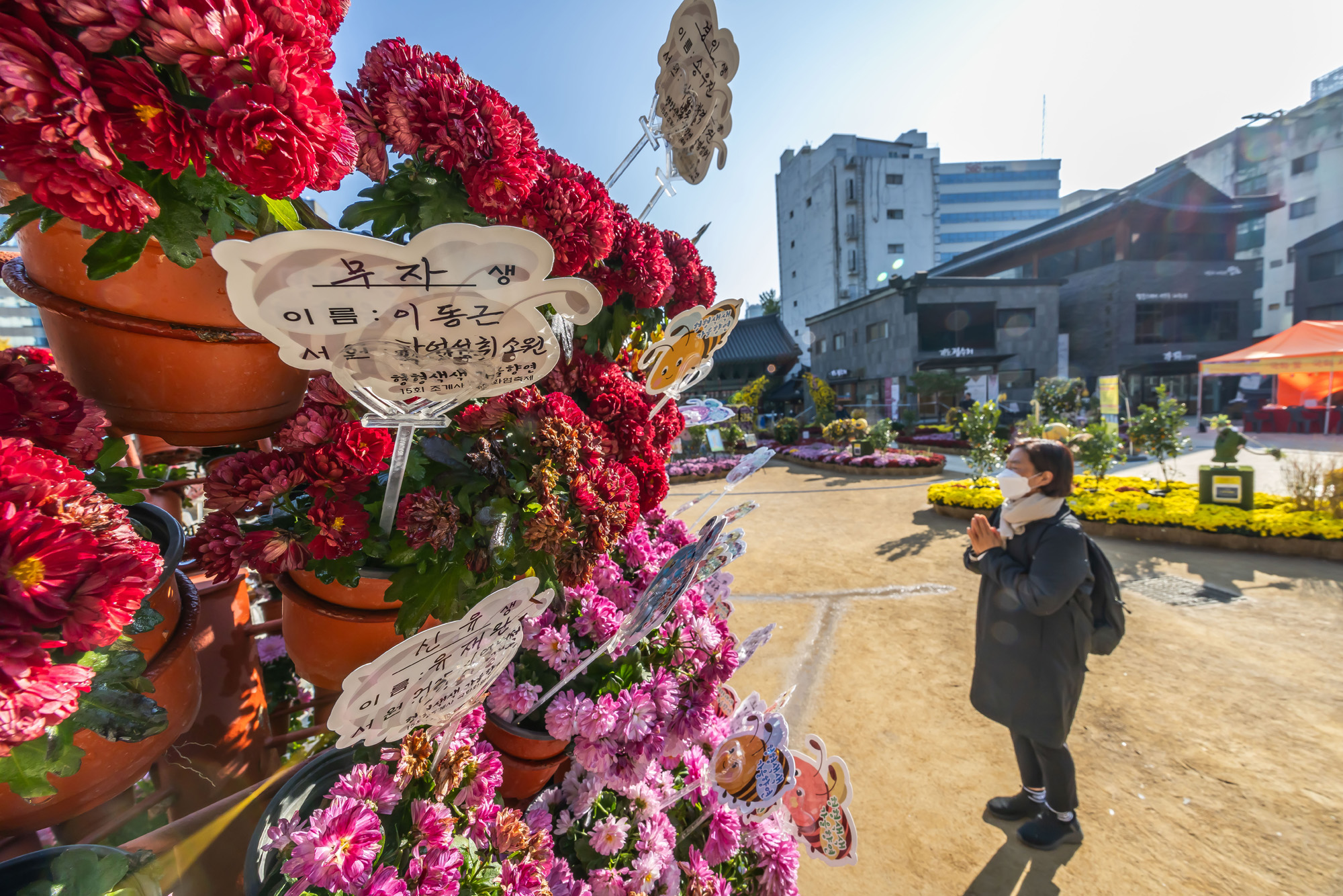 사회;세태;교육;대입;수능합격기원;조계사수능합격기원;수능기도;2026학년도대학수학능력시험기도