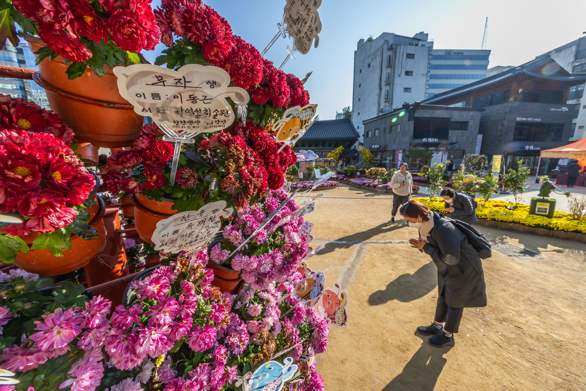 사회;세태;교육;대입;수능합격기원;조계사수능합격기원;수능기도;2026학년도대학수학능력시험기도