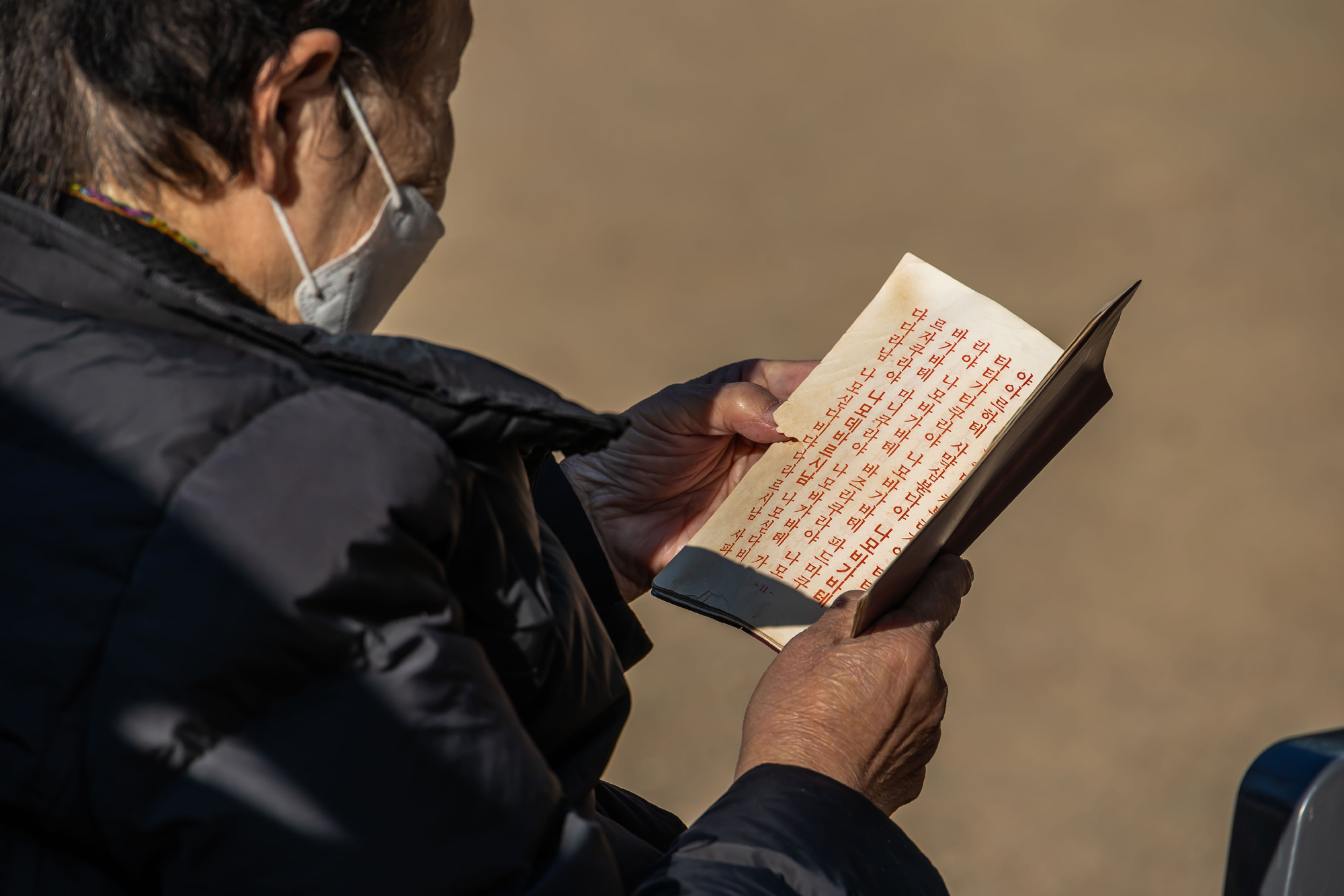 사회;세태;교육;대입;수능합격기원;조계사수능합격기원;수능기도;2026학년도대학수학능력시험기도