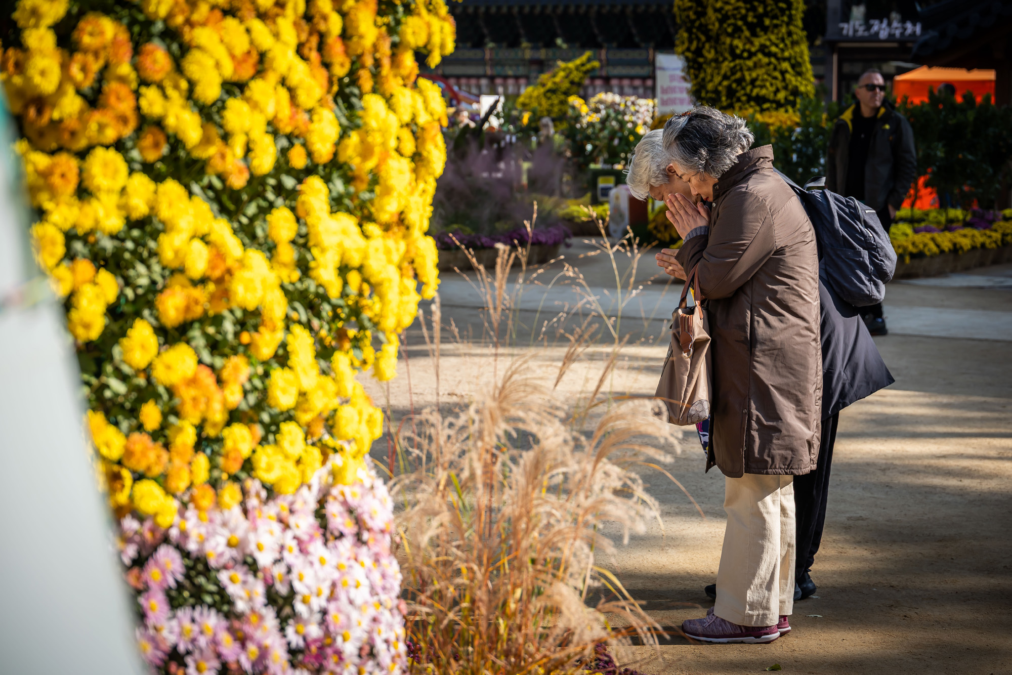 사회;세태;교육;대입;수능합격기원;조계사수능합격기원;수능기도;2026학년도대학수학능력시험기도