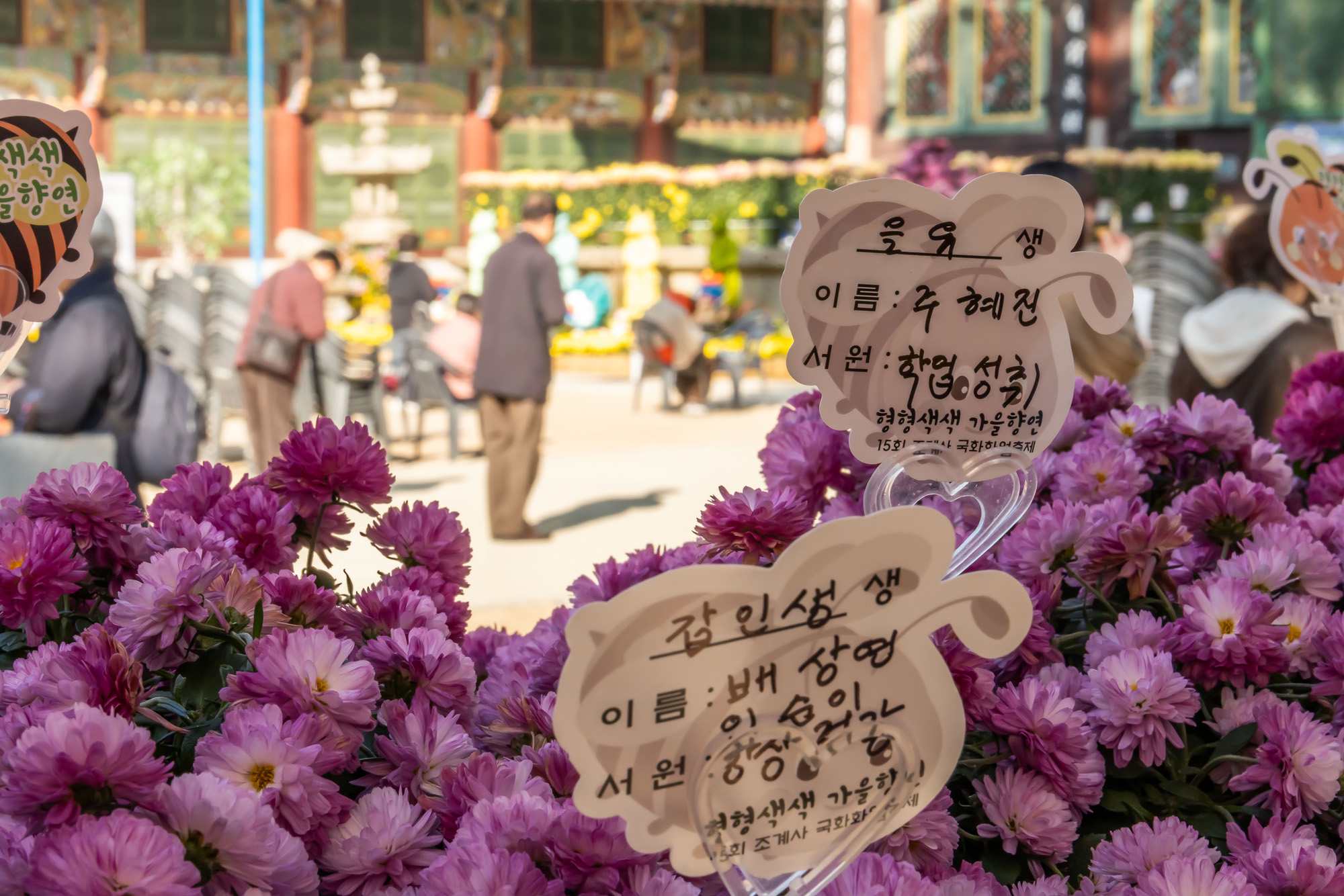 사회;세태;교육;대입;수능합격기원;조계사수능합격기원;수능기도;2026학년도대학수학능력시험기도