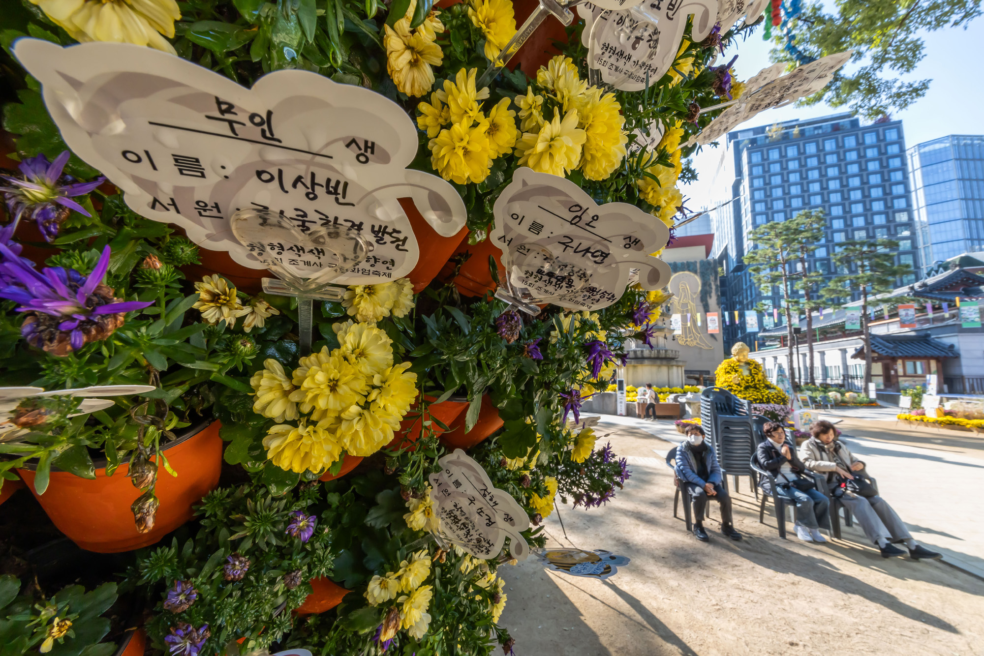 사회;세태;교육;대입;수능합격기원;조계사수능합격기원;수능기도;2026학년도대학수학능력시험기도