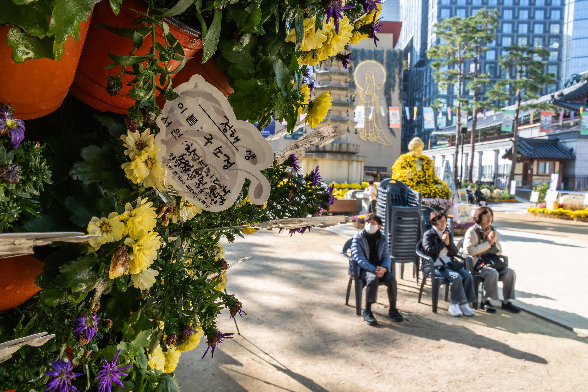 사회;세태;교육;대입;수능합격기원;조계사수능합격기원;수능기도;2026학년도대학수학능력시험기도