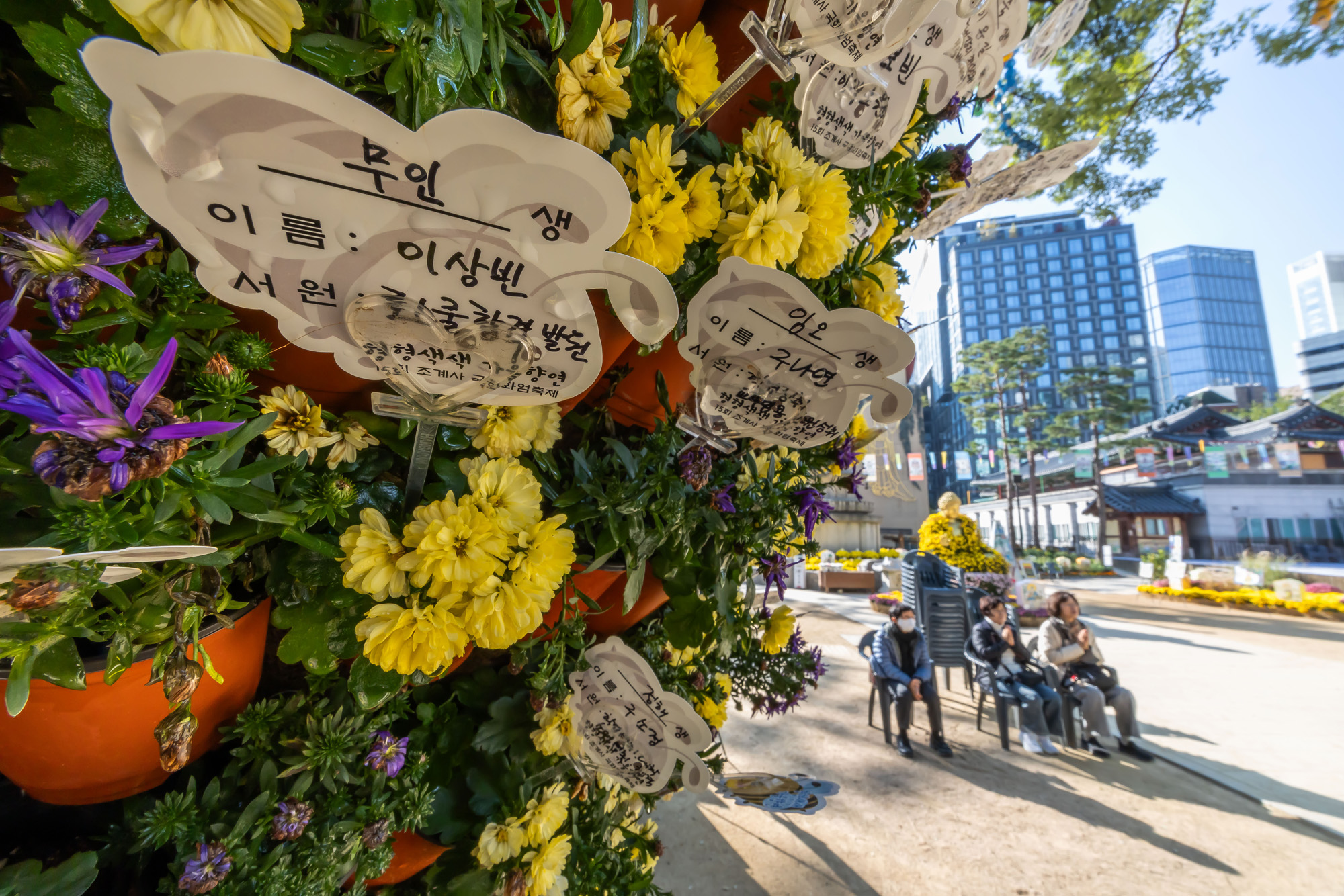 사회;세태;교육;대입;수능합격기원;조계사수능합격기원;수능기도;2026학년도대학수학능력시험기도