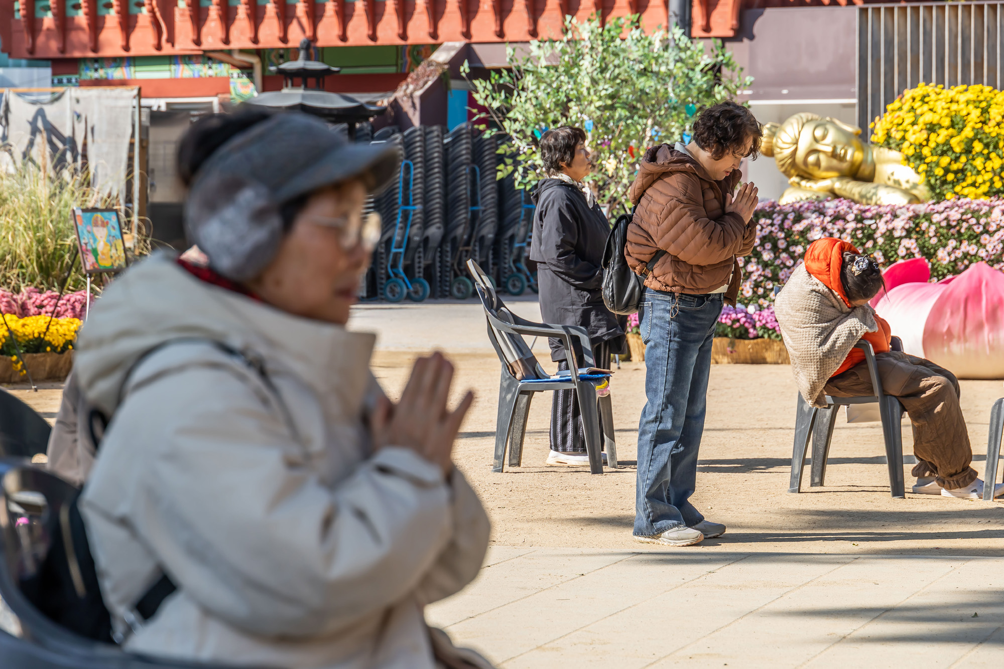 사회;세태;교육;대입;수능합격기원;조계사수능합격기원;수능기도;2026학년도대학수학능력시험기도
