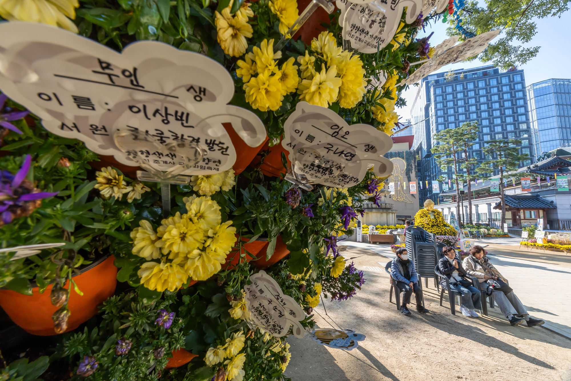 사회;세태;교육;대입;수능합격기원;조계사수능합격기원;수능기도;2026학년도대학수학능력시험기도