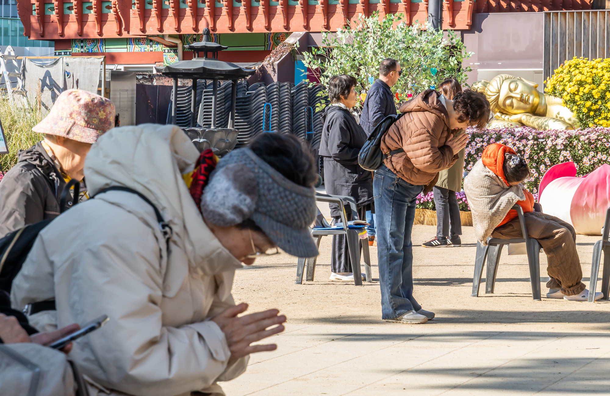 사회;세태;교육;대입;수능합격기원;조계사수능합격기원;수능기도;2026학년도대학수학능력시험기도
