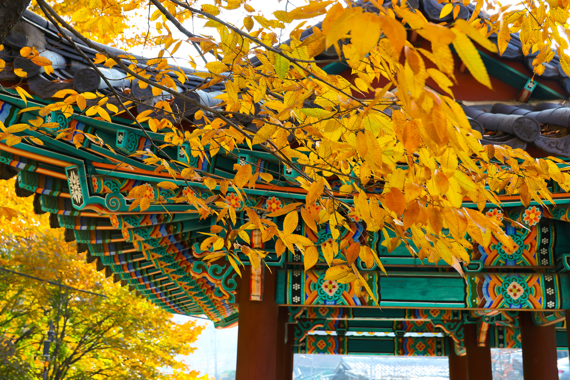 단풍;세검정;가울