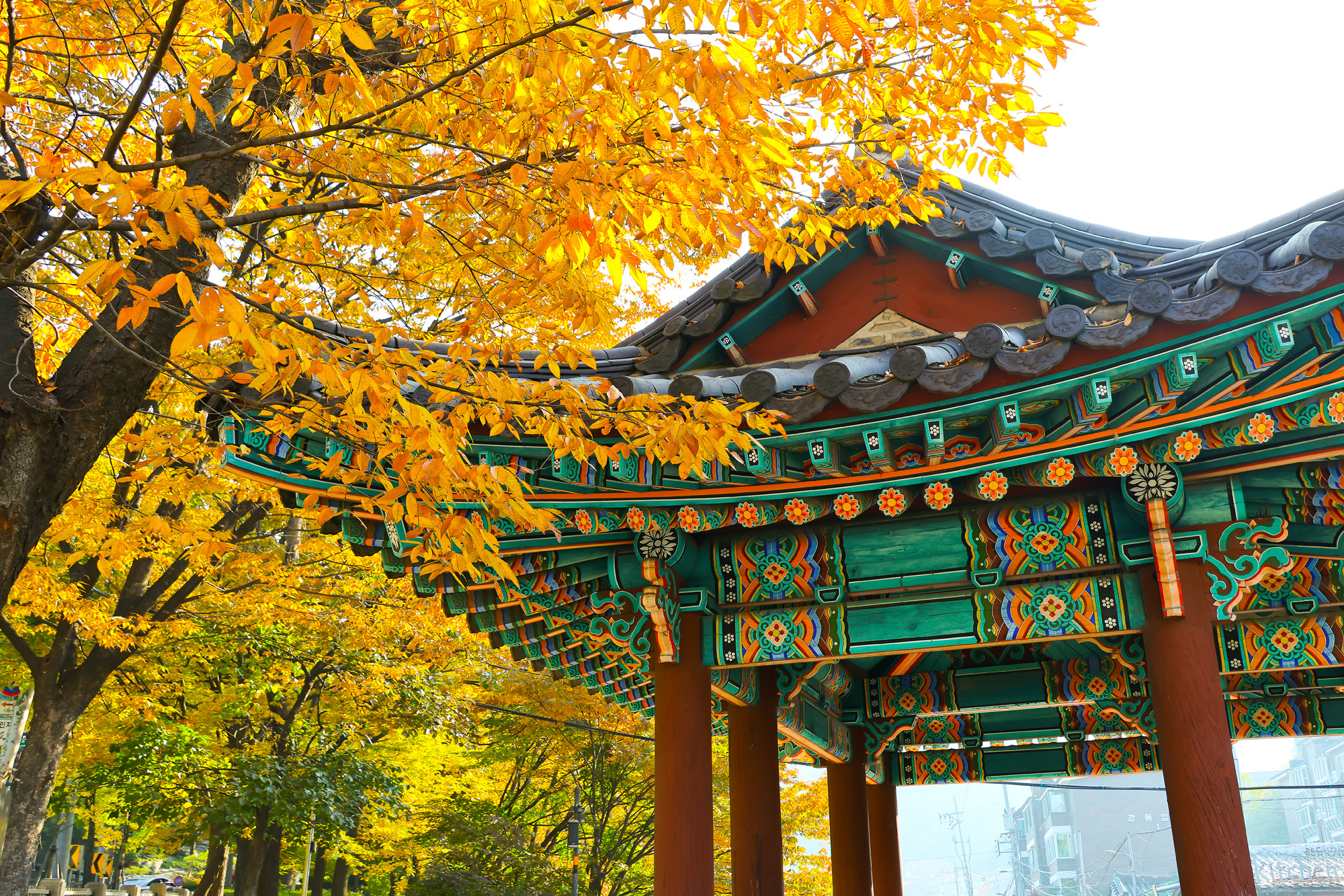 단풍;세검정;가울