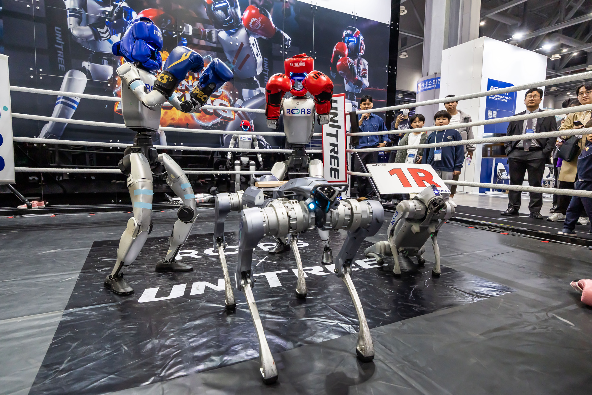 경제;행사;IT;과학;정보통신;로봇;robot;로보월드;무인로봇;산업용로봇;로봇산업;국제로봇산업대전;2025로보월드;휴머노이드로봇;AI로봇;인공지능로봇;킨텍스