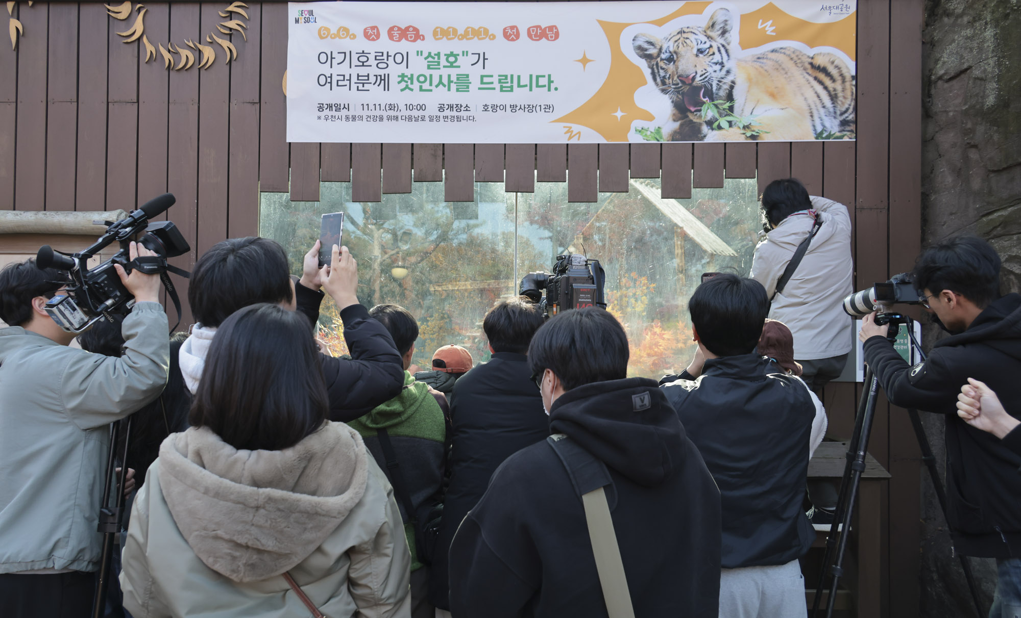 호랑이;설호;시베리아호랑이;범