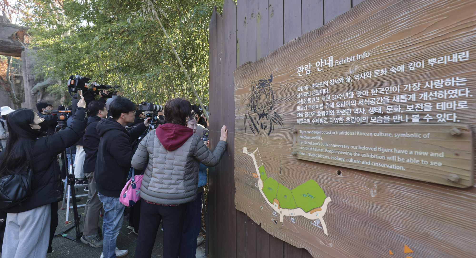 호랑이;설호;시베리아호랑이;범