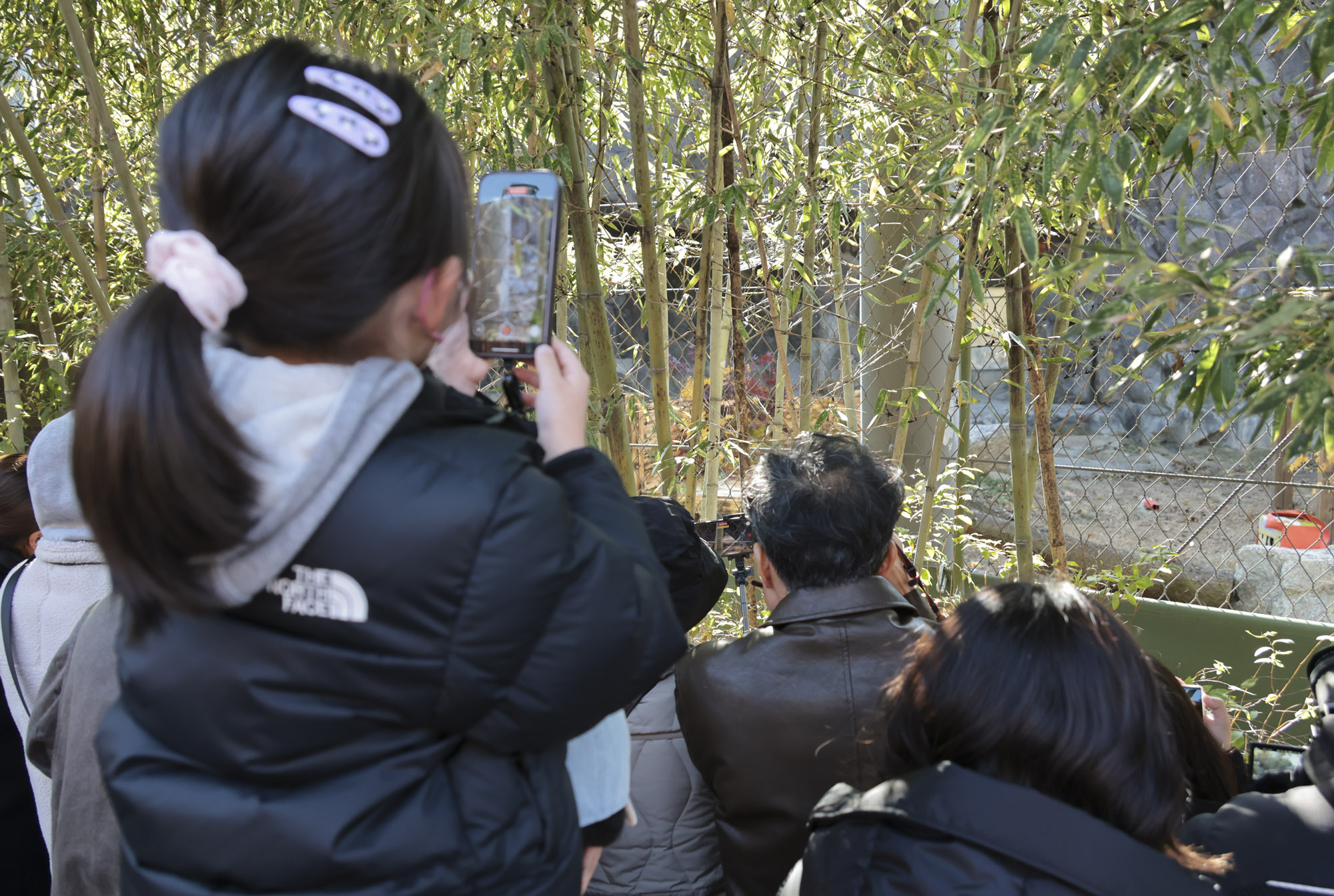 호랑이;설호;시베리아호랑이;범