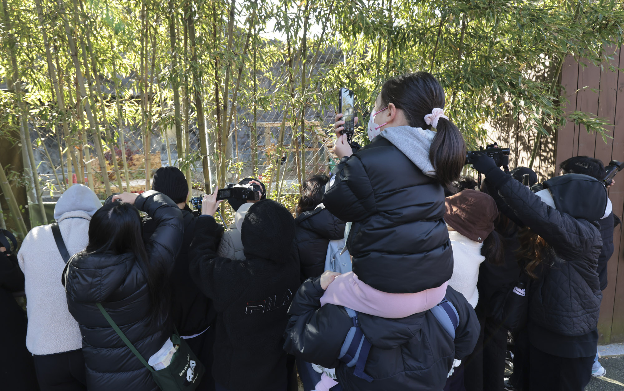 호랑이;설호;시베리아호랑이;범