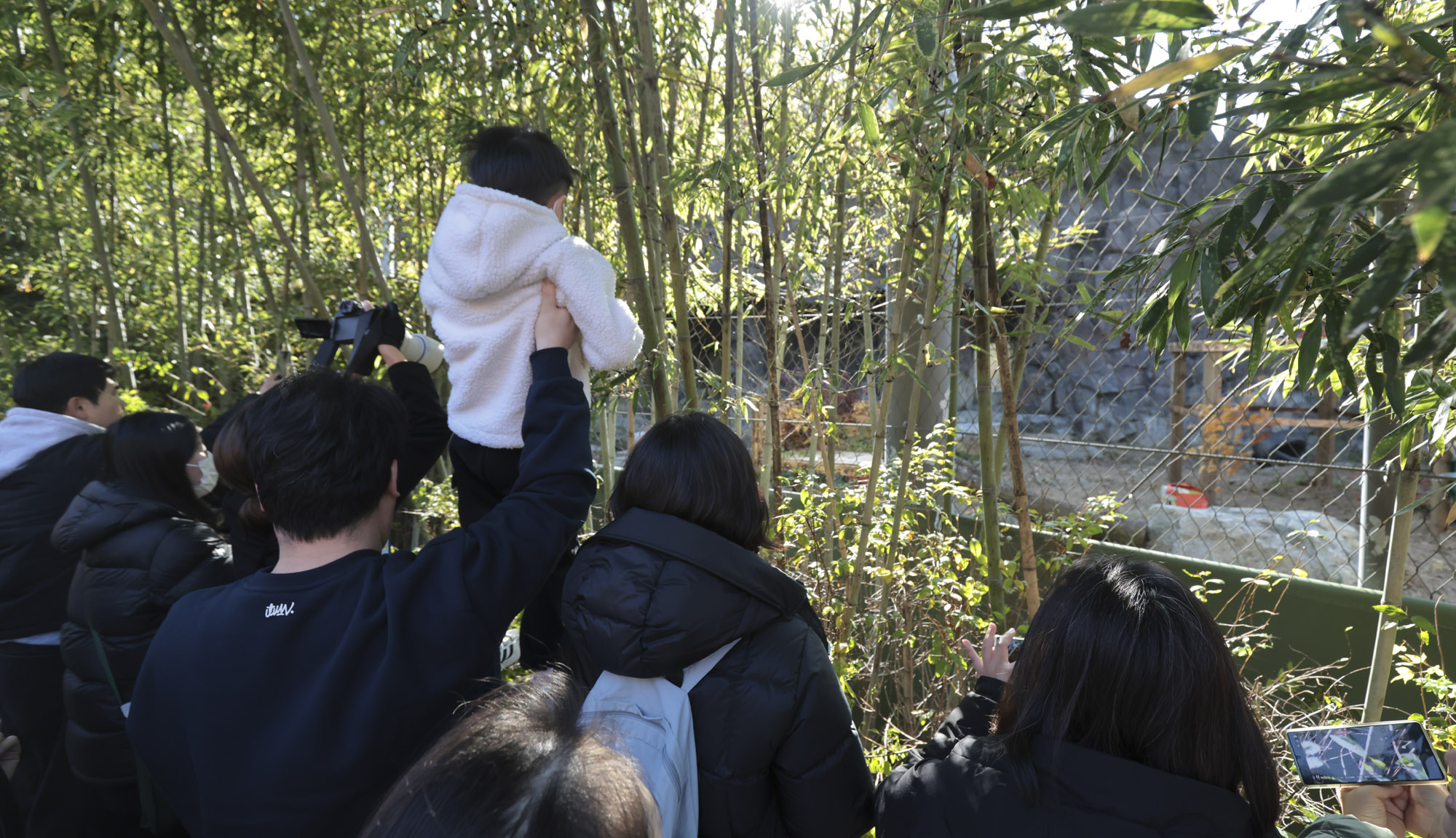 호랑이;설호;시베리아호랑이;범