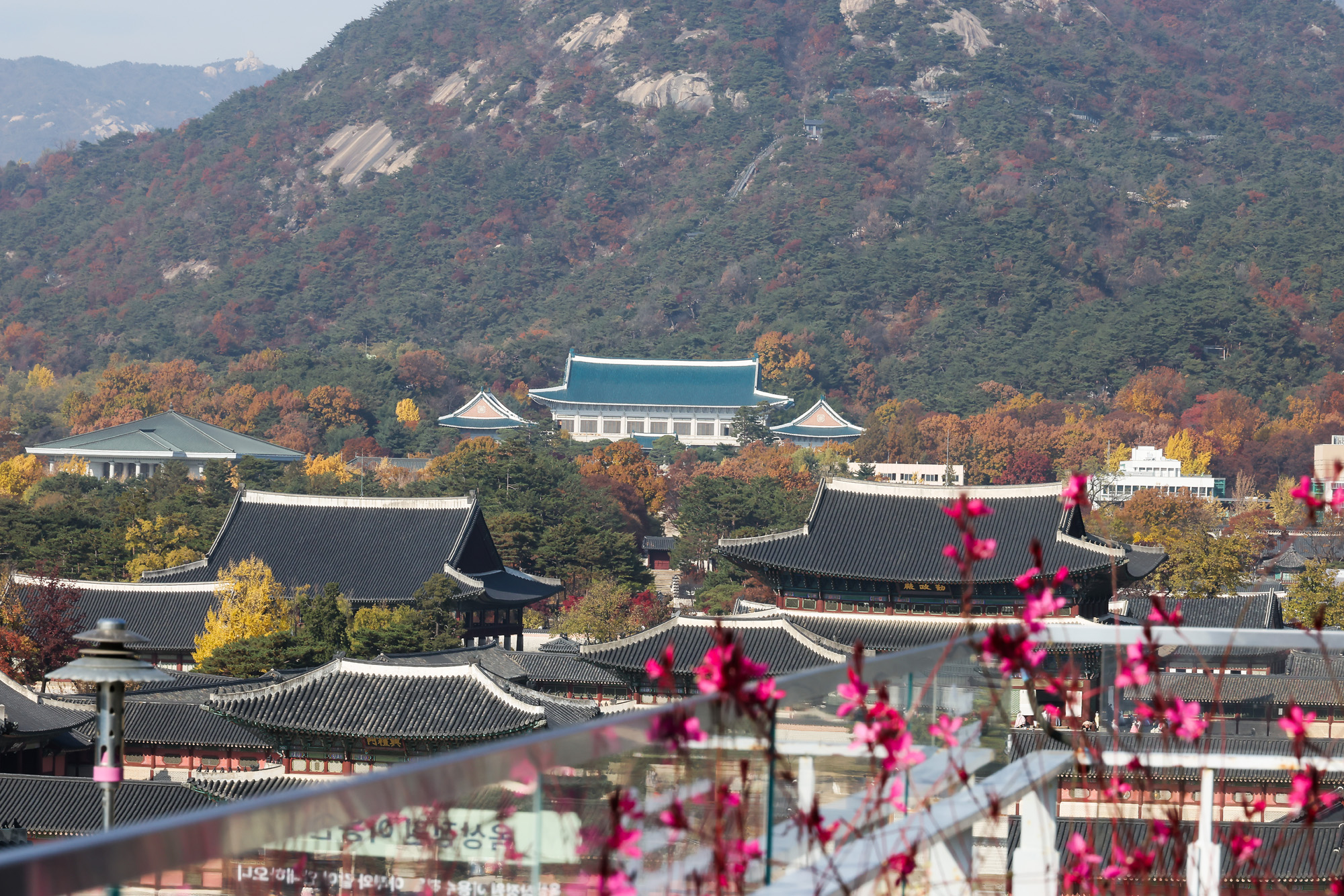 청와대;단풍;가을