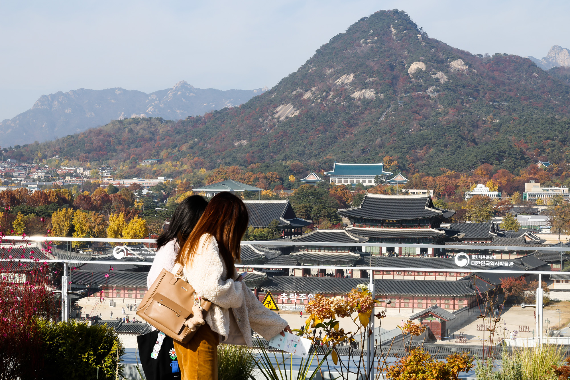 청와대;단풍;가을