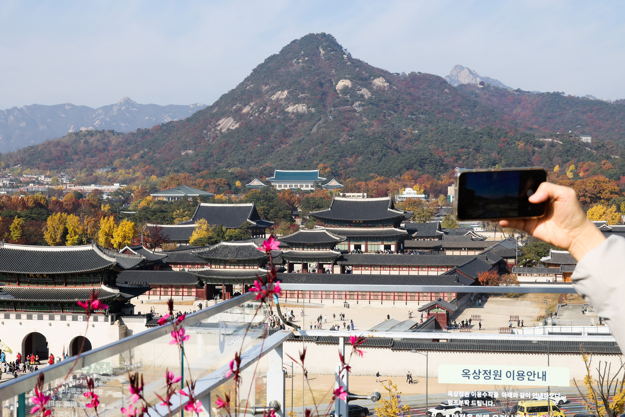 청와대;단풍;가을