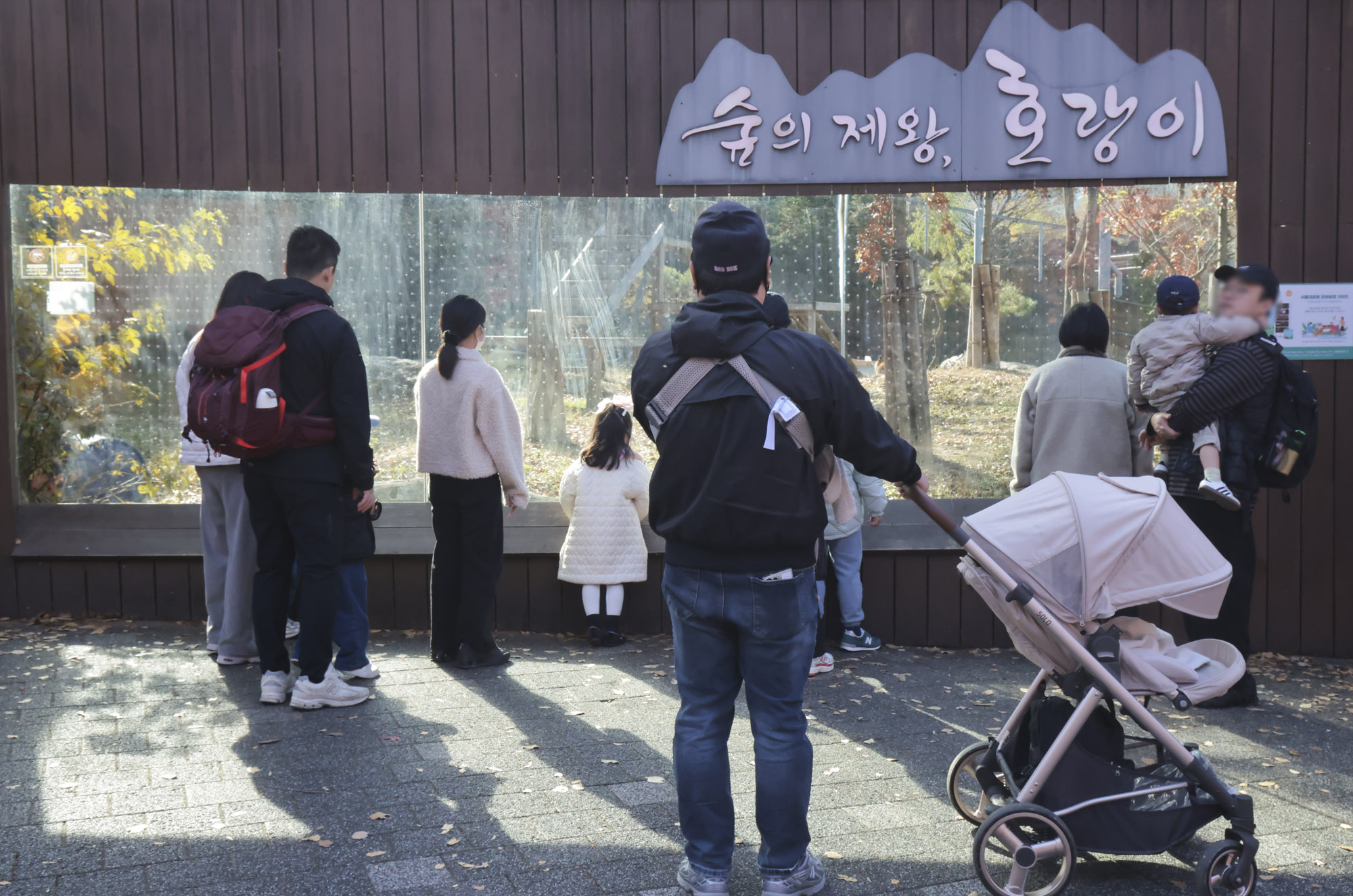 설호;시베리아호랑이;과천서울대공원;호랑이