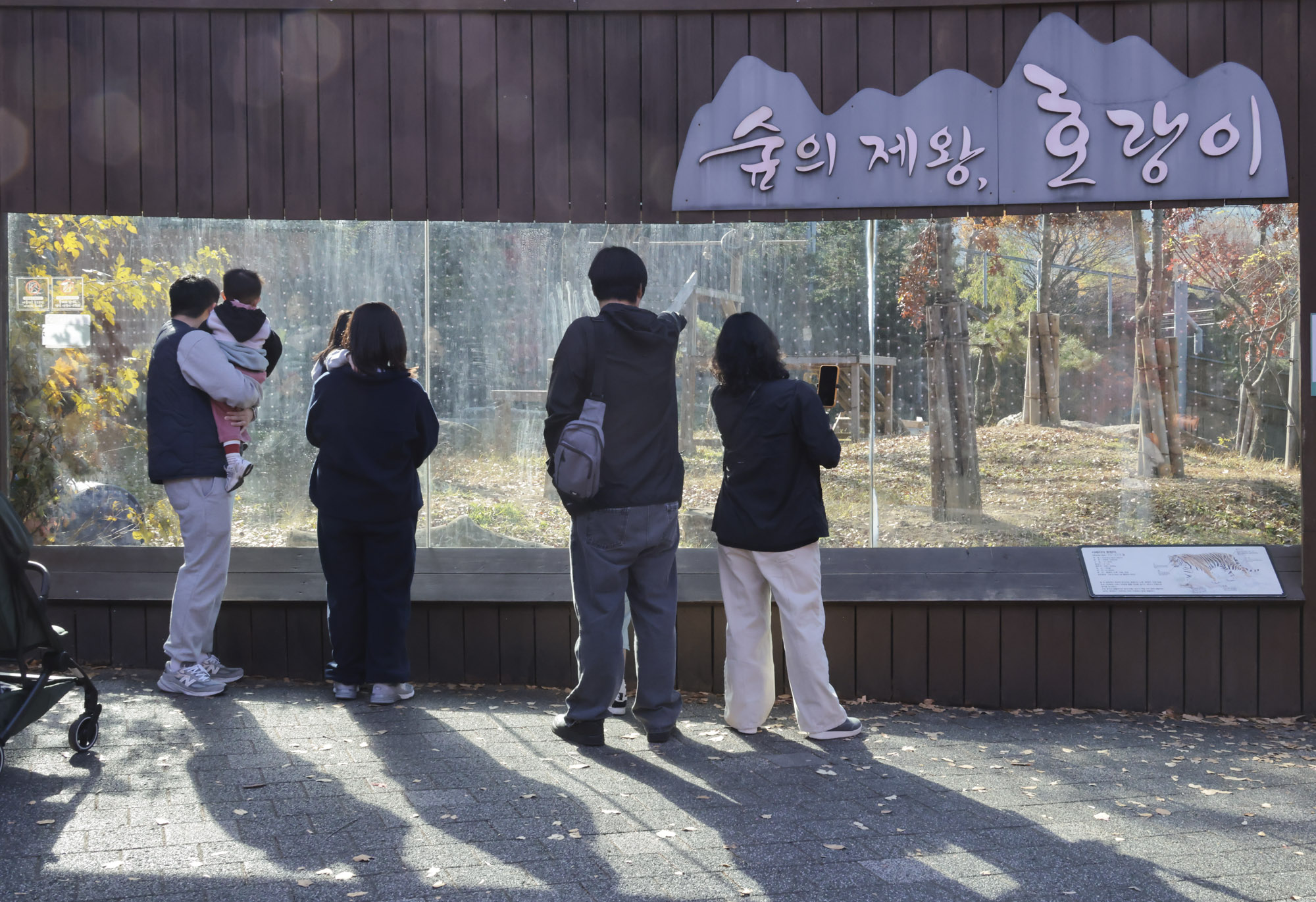 설호;시베리아호랑이;과천서울대공원;호랑이