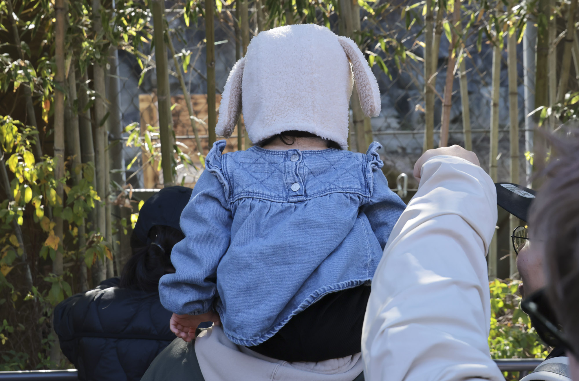 설호;시베리아호랑이;과천서울대공원;호랑이