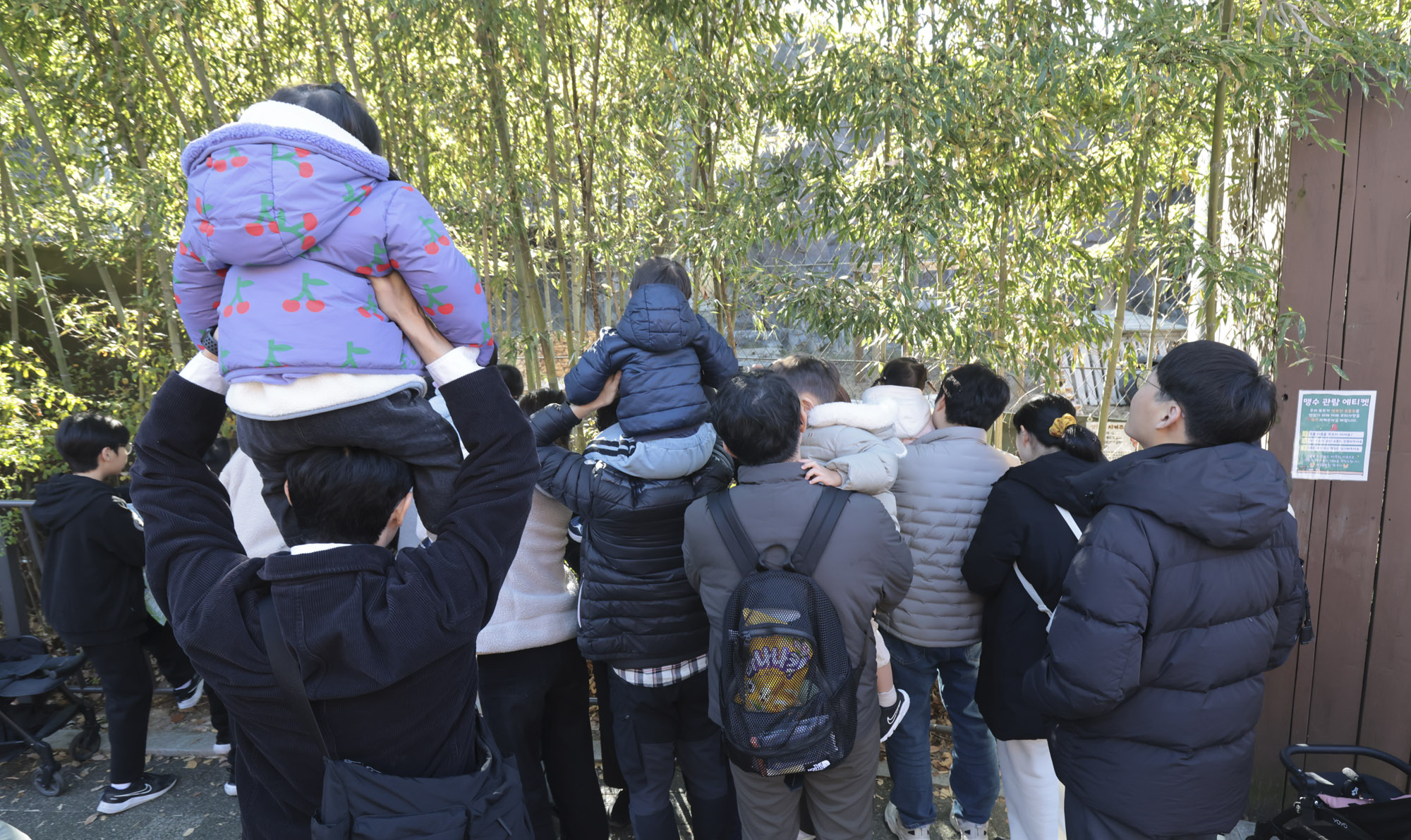 설호;시베리아호랑이;과천서울대공원;호랑이