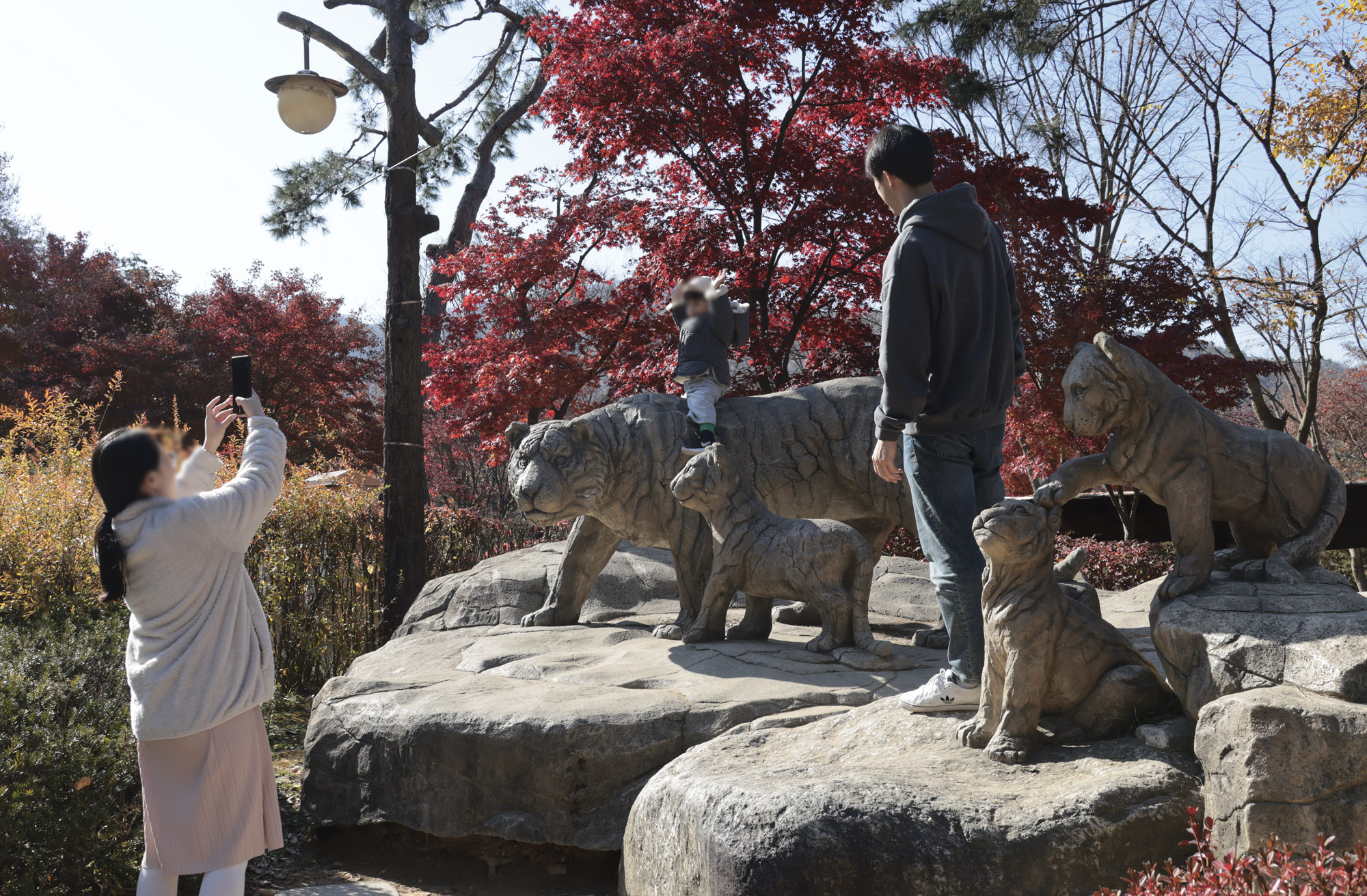 설호;시베리아호랑이;과천서울대공원;호랑이