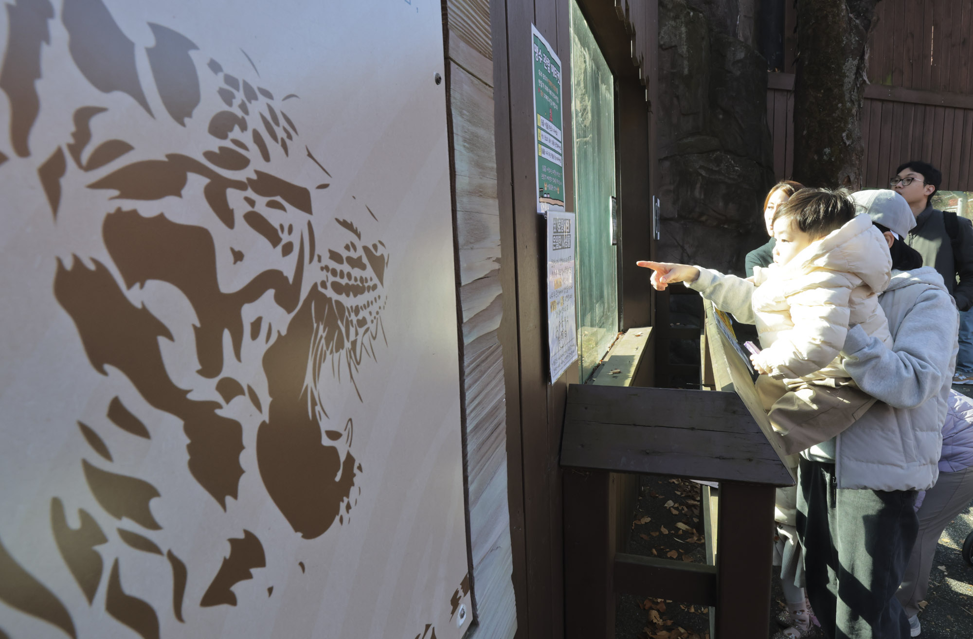 설호;시베리아호랑이;과천서울대공원;호랑이