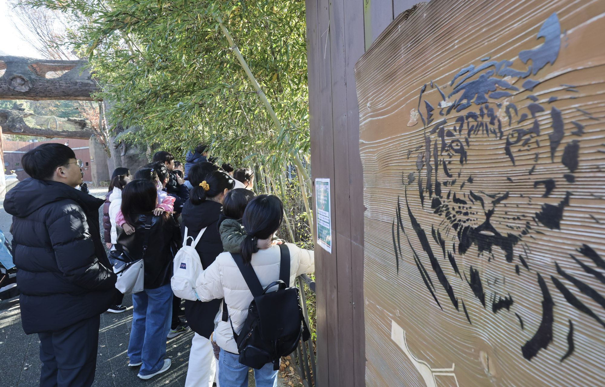 설호;시베리아호랑이;과천서울대공원;호랑이
