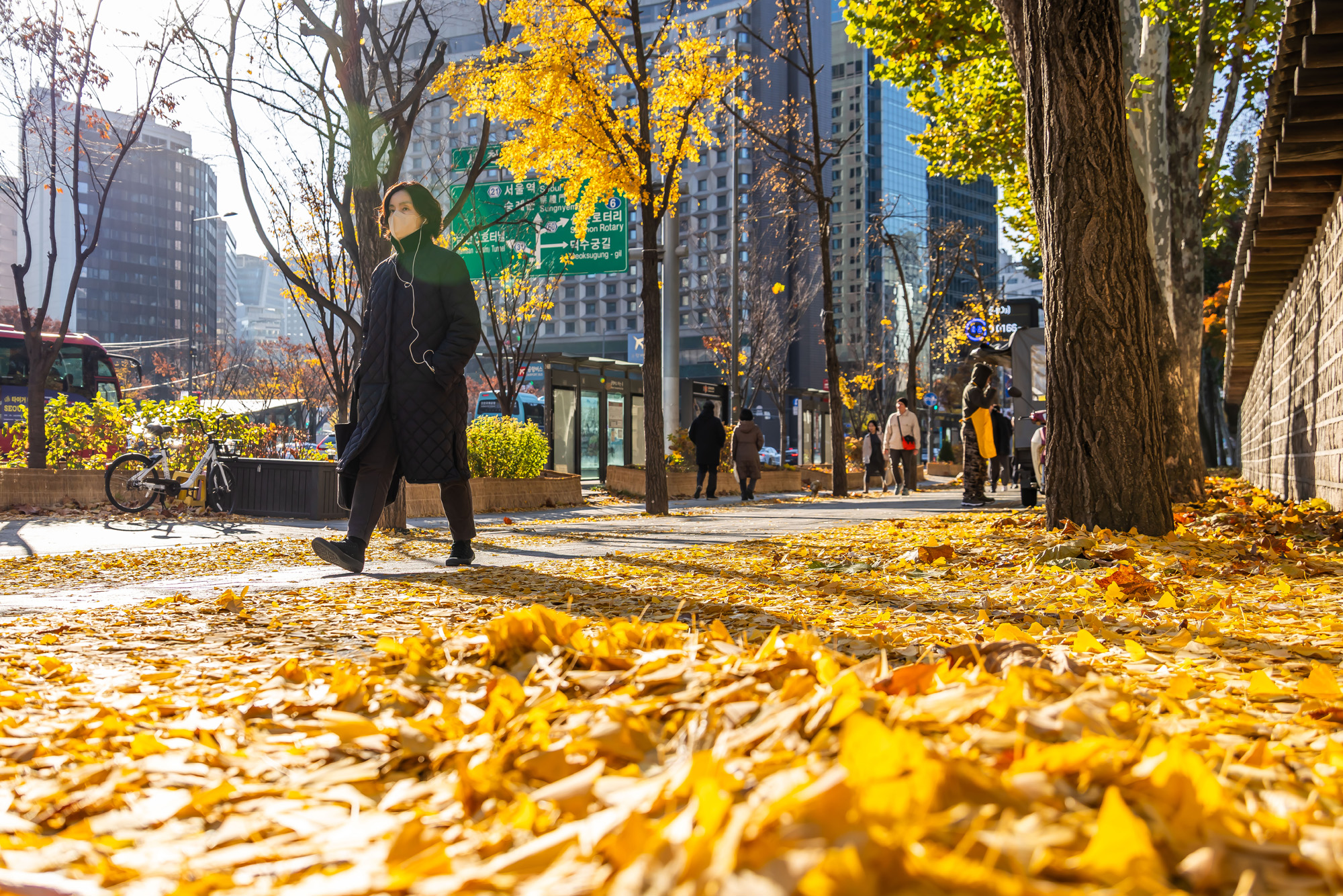 사회;날씨;계절;계절스케치;단풍스케치;한파단풍스케치;영하권추위스케치