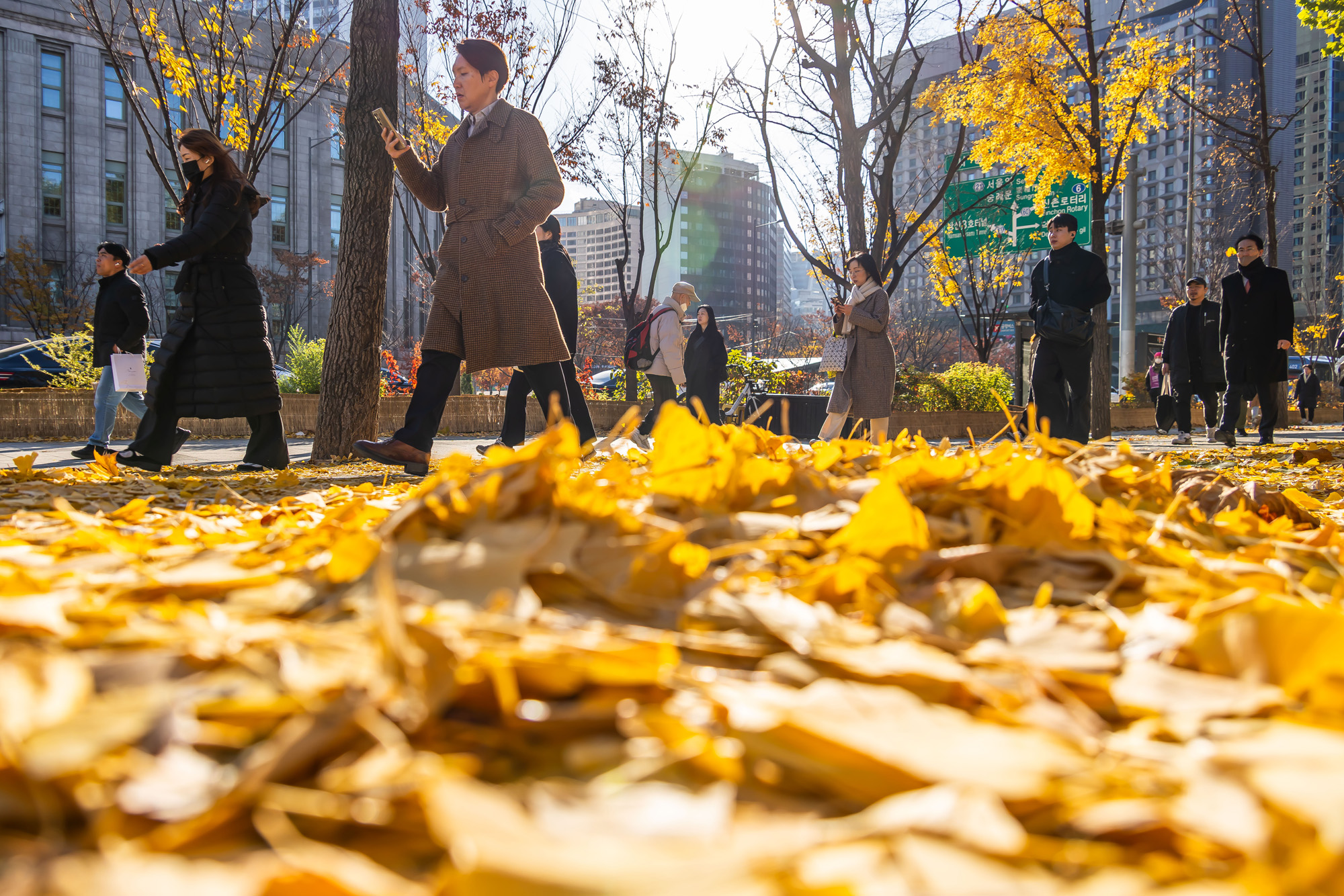 사회;날씨;계절;계절스케치;단풍스케치;한파단풍스케치;영하권추위스케치