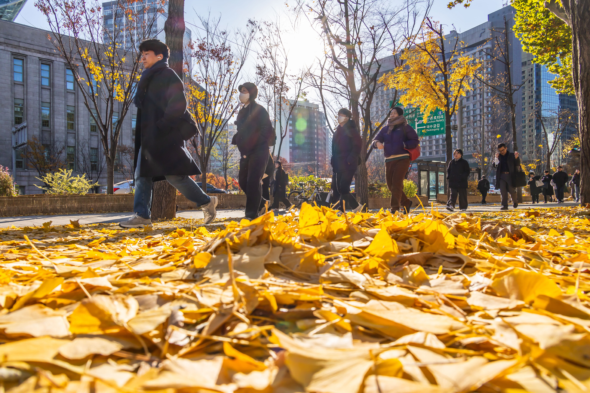 사회;날씨;계절;계절스케치;단풍스케치;한파단풍스케치;영하권추위스케치