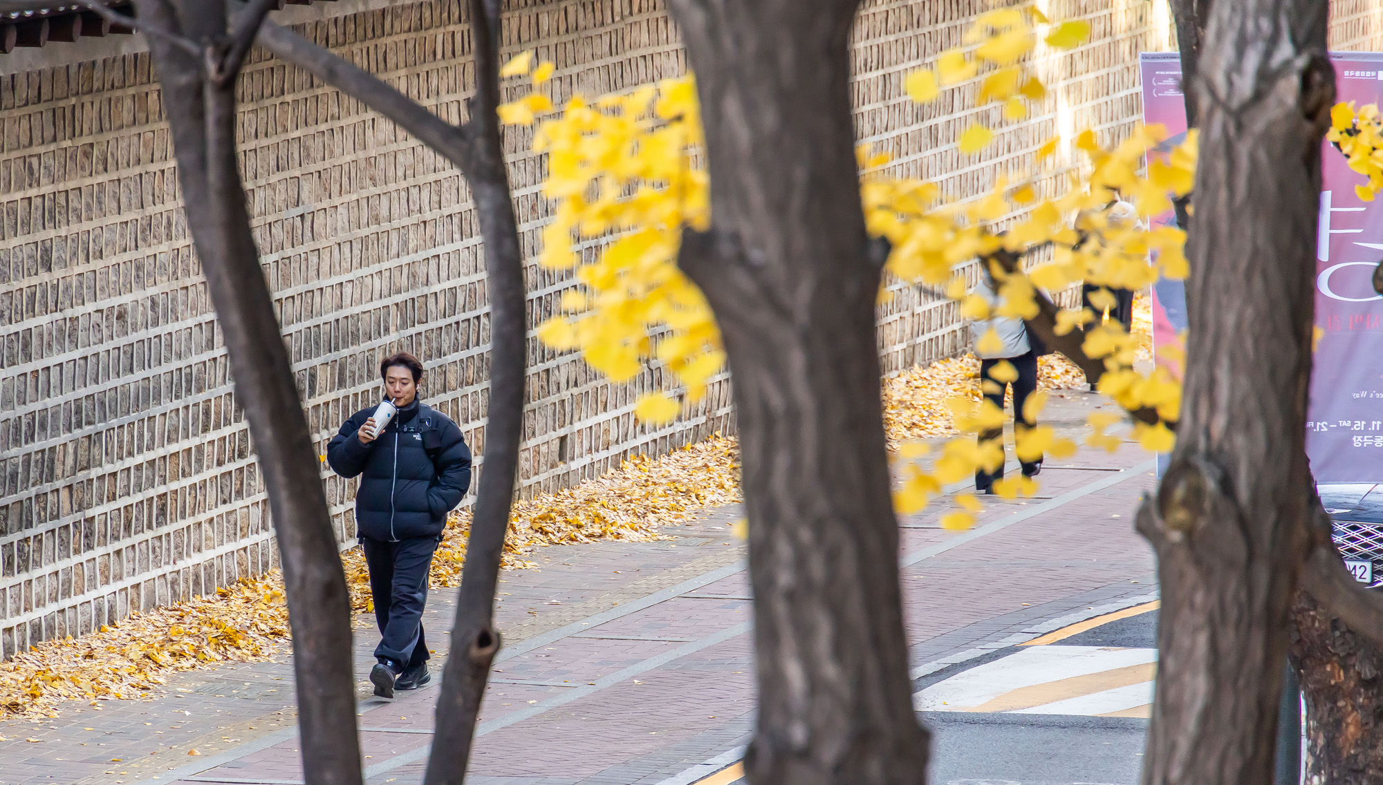 사회;날씨;계절;계절스케치;단풍스케치;한파단풍스케치;영하권추위스케치