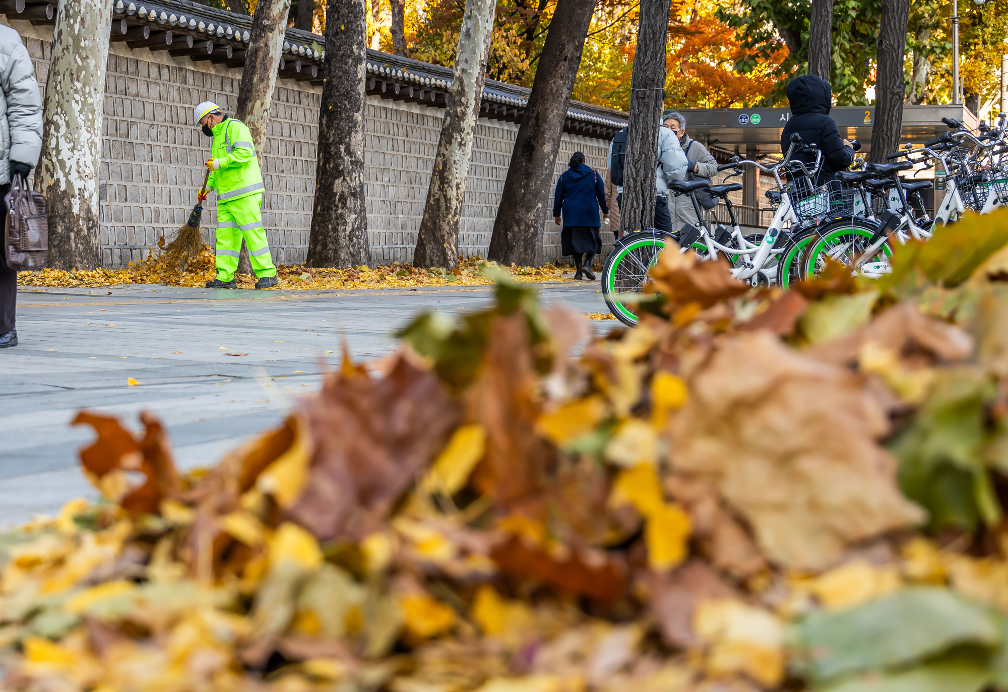 사회;날씨;계절;계절스케치;단풍스케치;한파단풍스케치;영하권추위스케치
