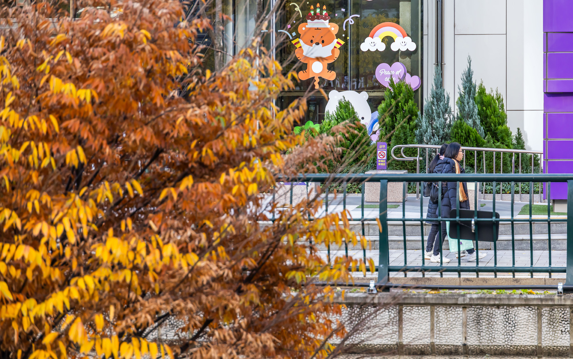 사회;날씨;계절;계절스케치;단풍스케치;한파단풍스케치;영하권추위스케치