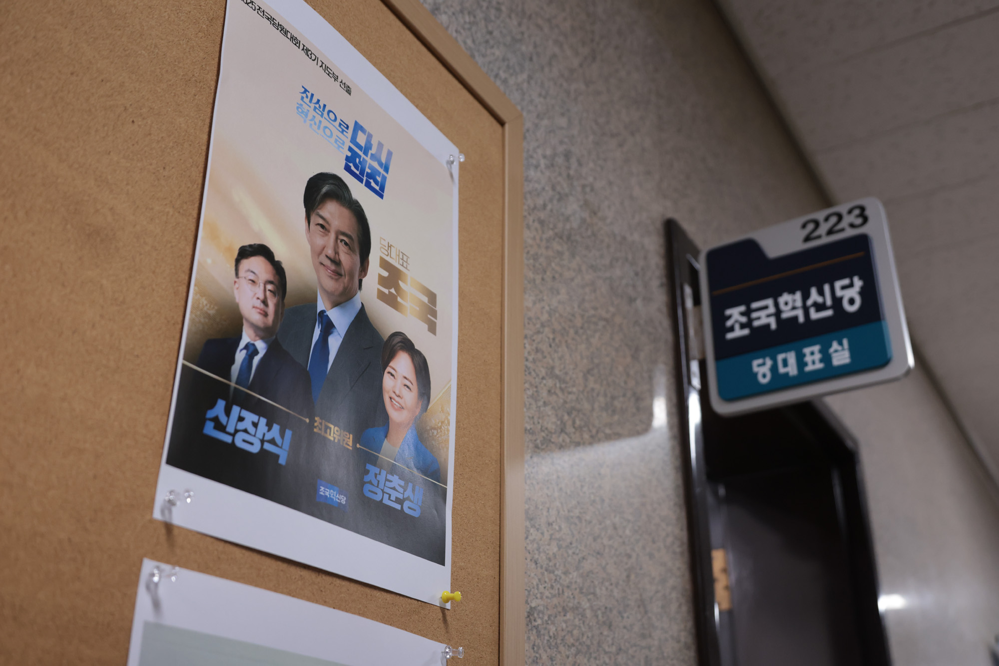 정치;정당;조국혁신당;최고위원회의