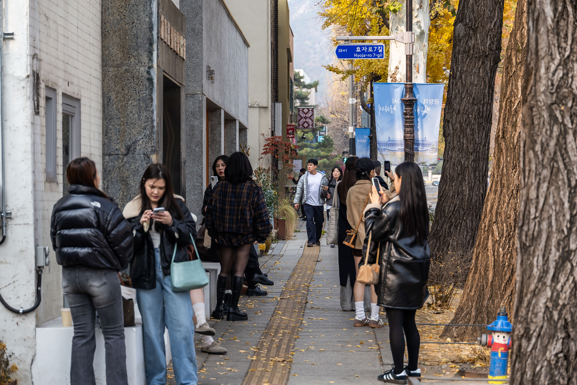 정치;정부;이재명정부;청와대;청와대이전;청와대이사;대통령실청와대복귀